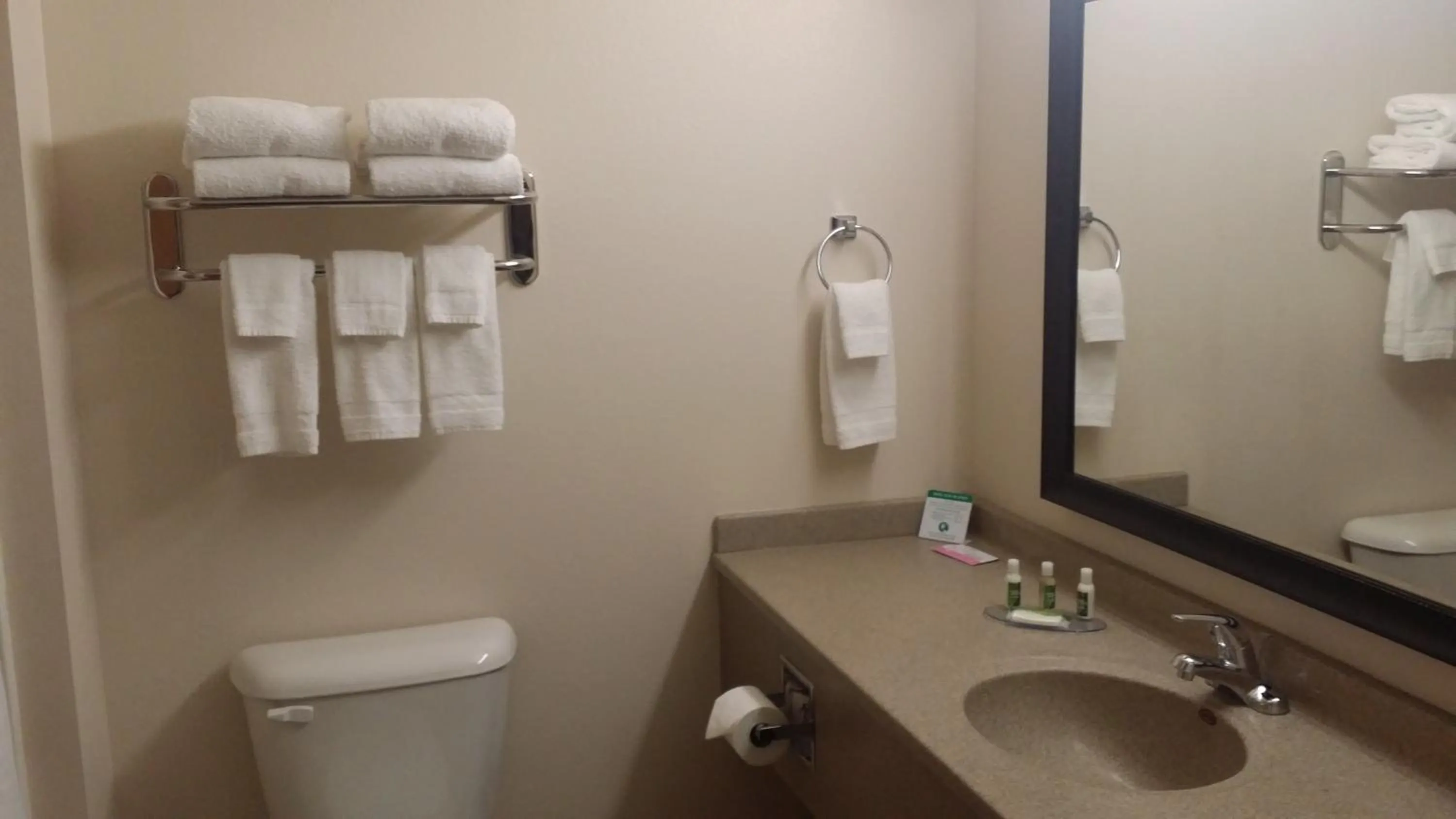 Toilet in American Inn & Suites