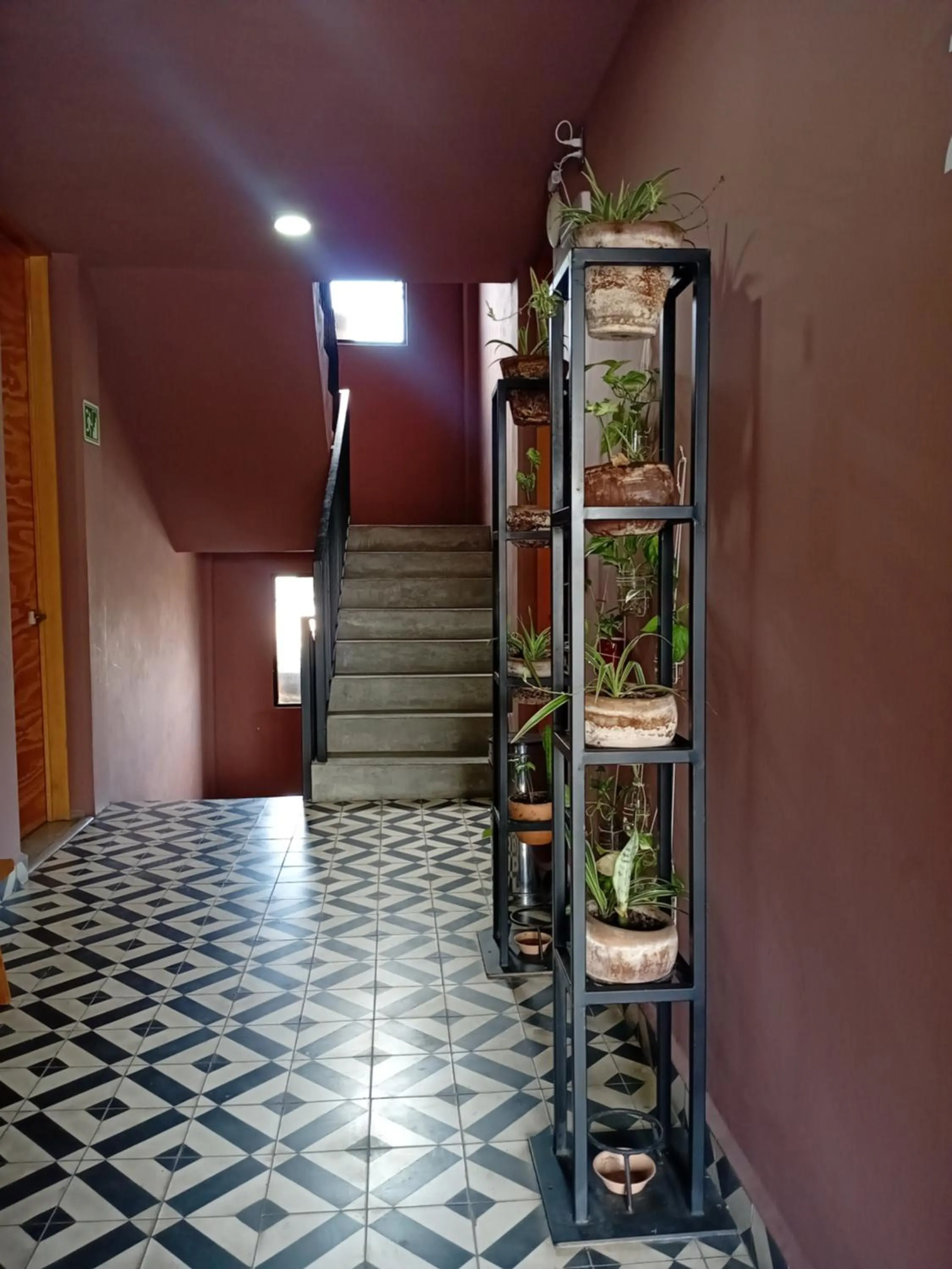 Decorative detail in Hotel Momotus Tuxtla