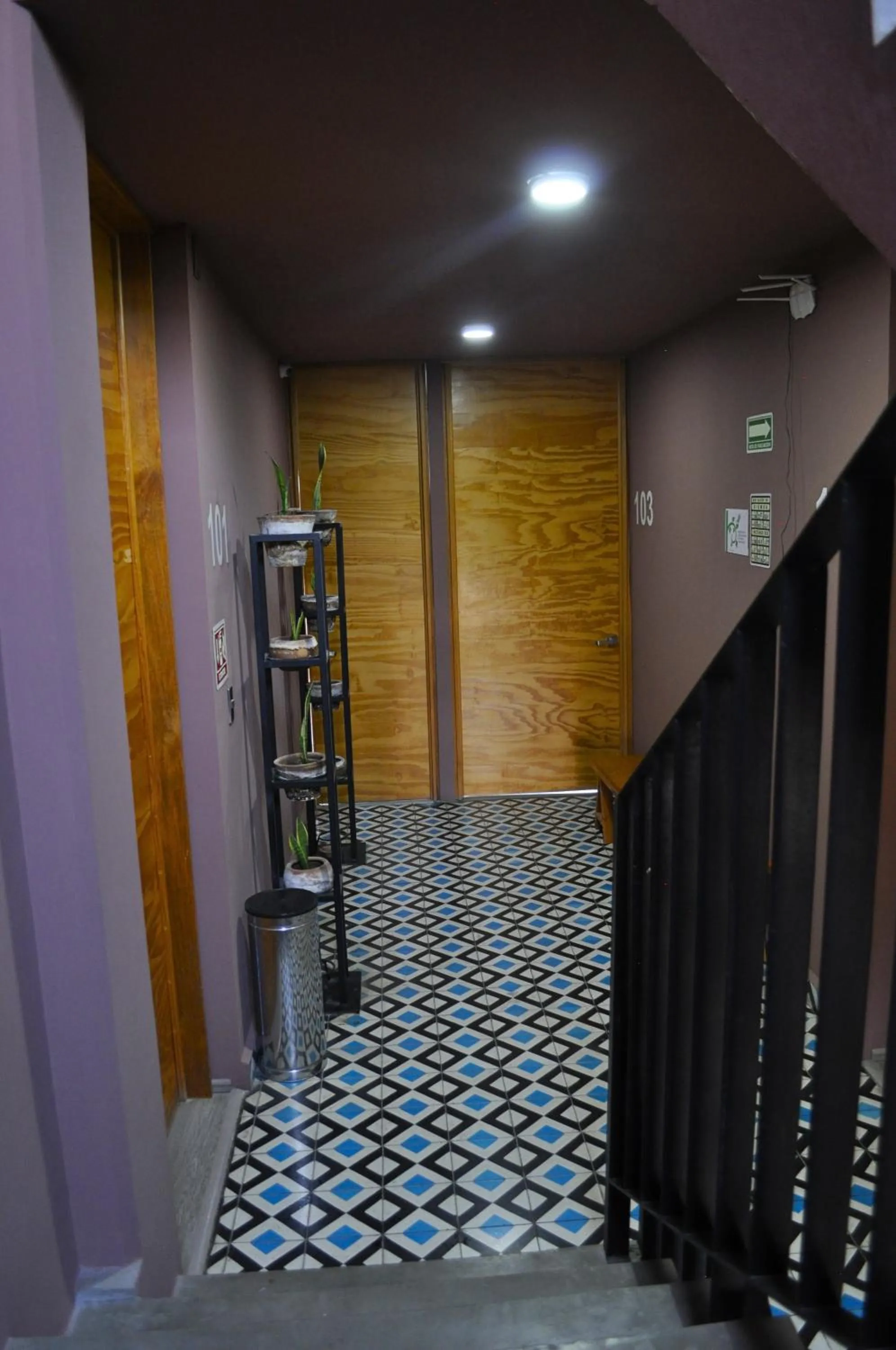 Area and facilities in Hotel Momotus Tuxtla