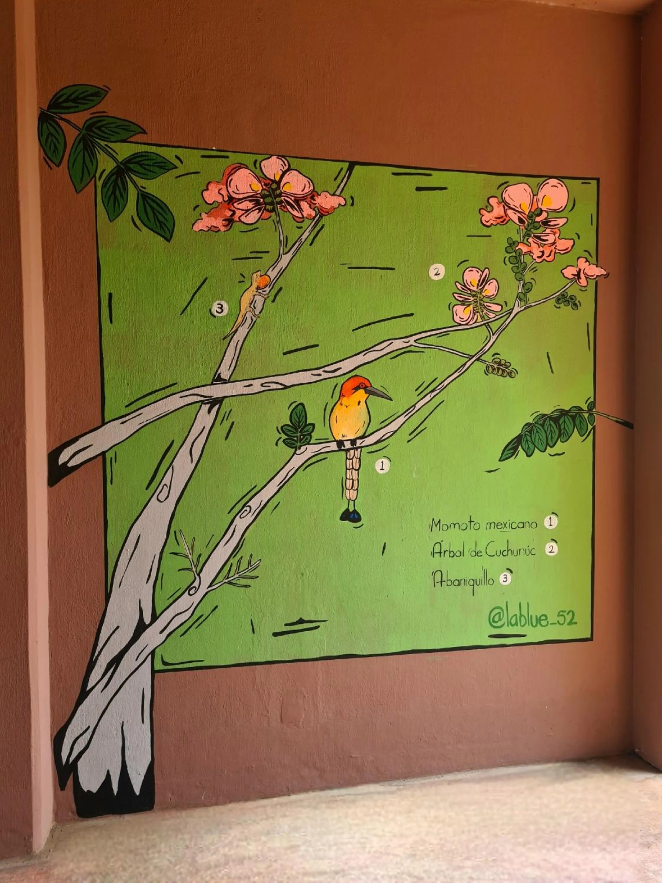 Patio in Hotel Momotus Tuxtla