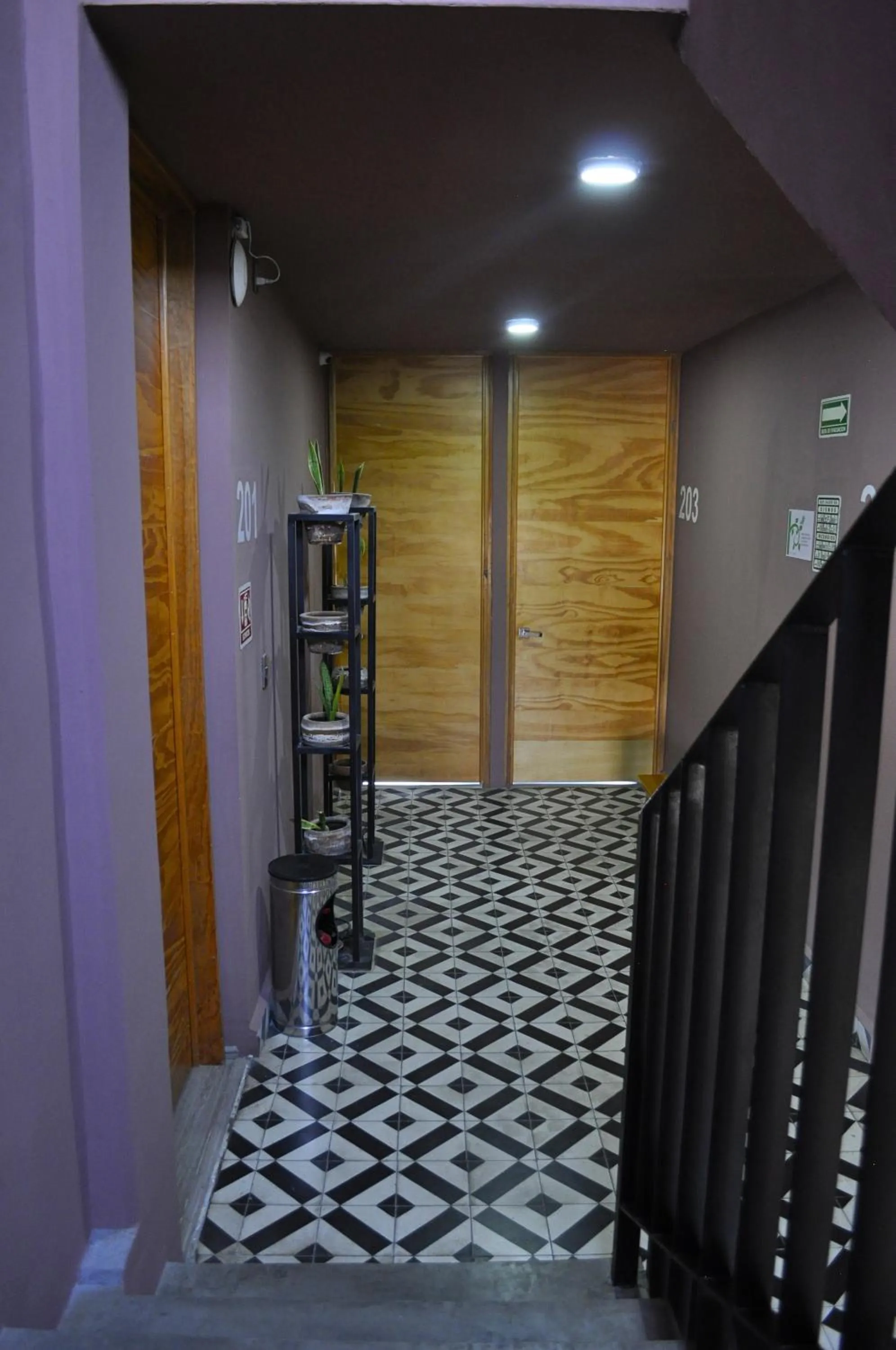 Area and facilities in Hotel Momotus Tuxtla