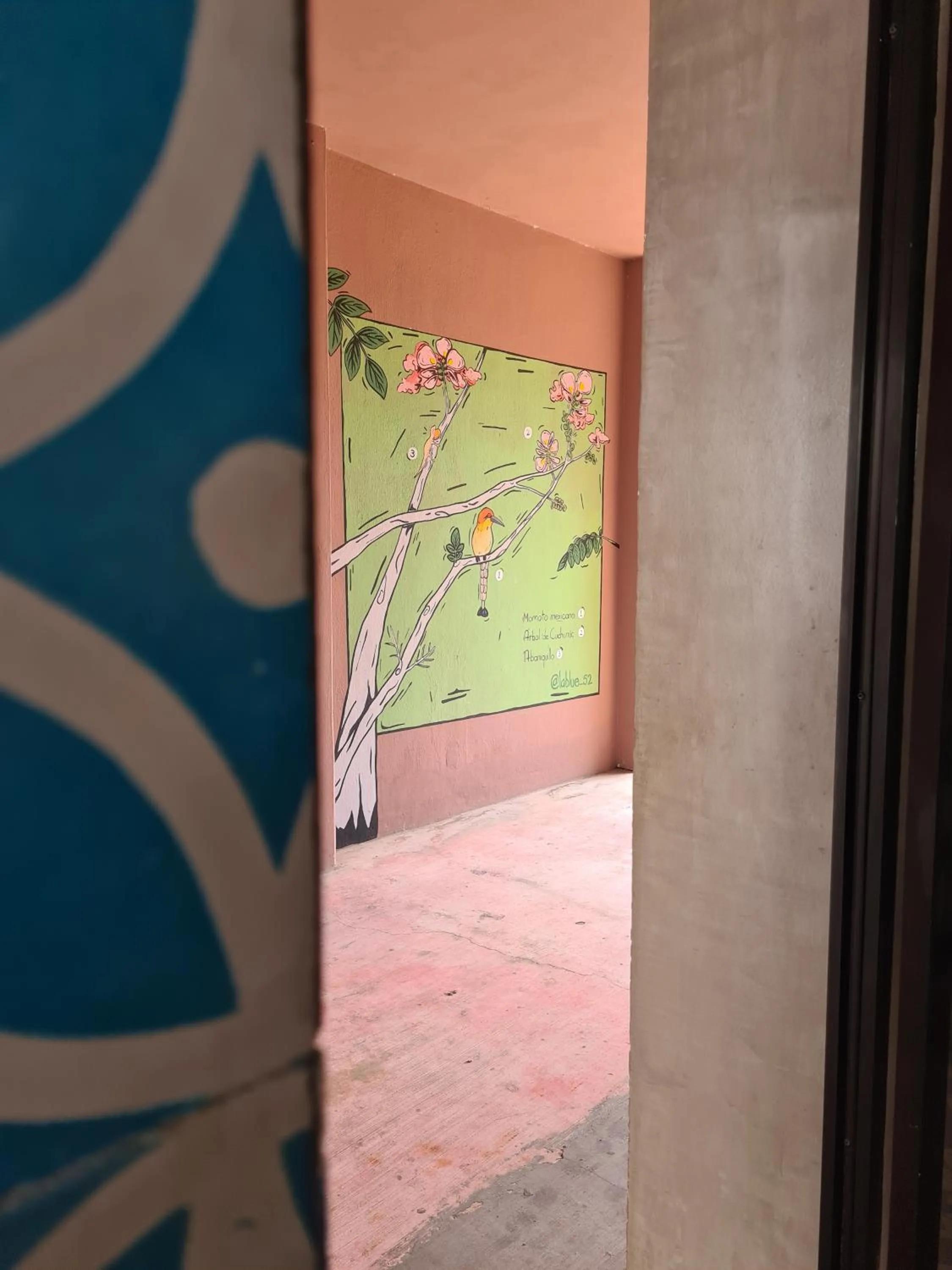 Patio in Hotel Momotus Tuxtla