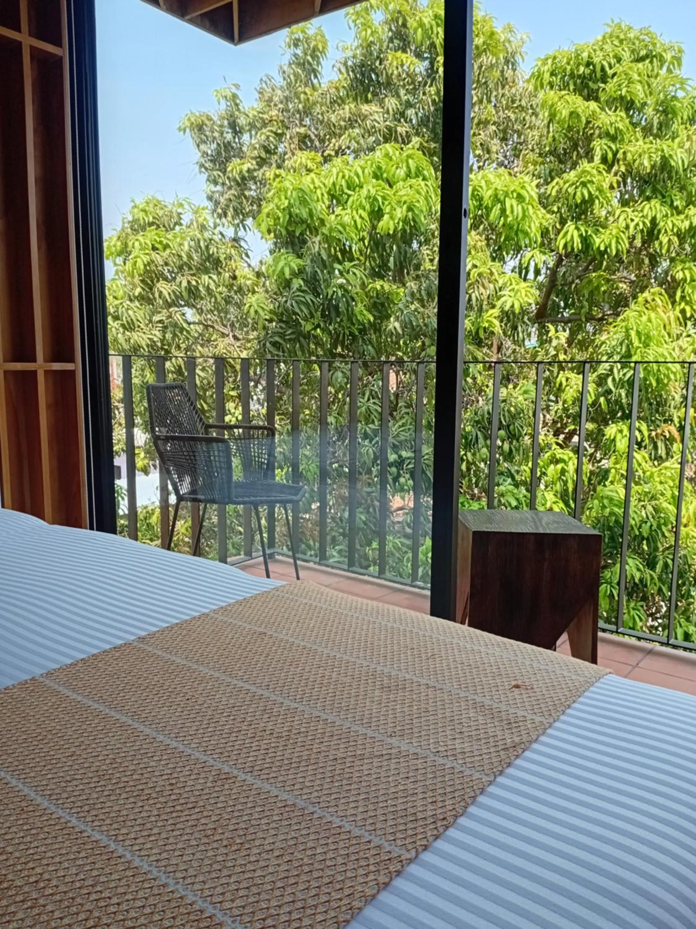 Day in Hotel Momotus Tuxtla