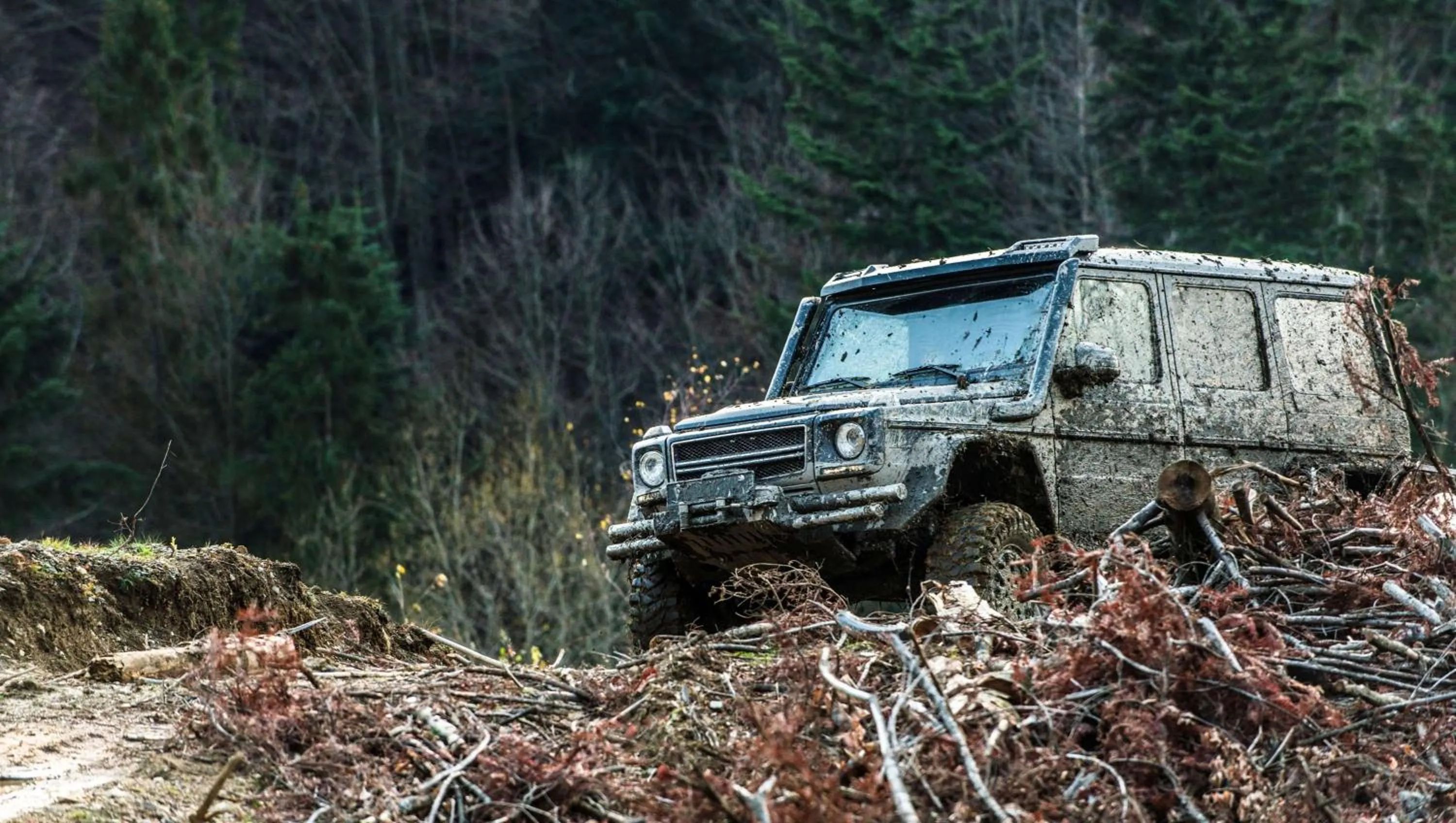 Nearby landmark in Best Travel Inn Philipsburg