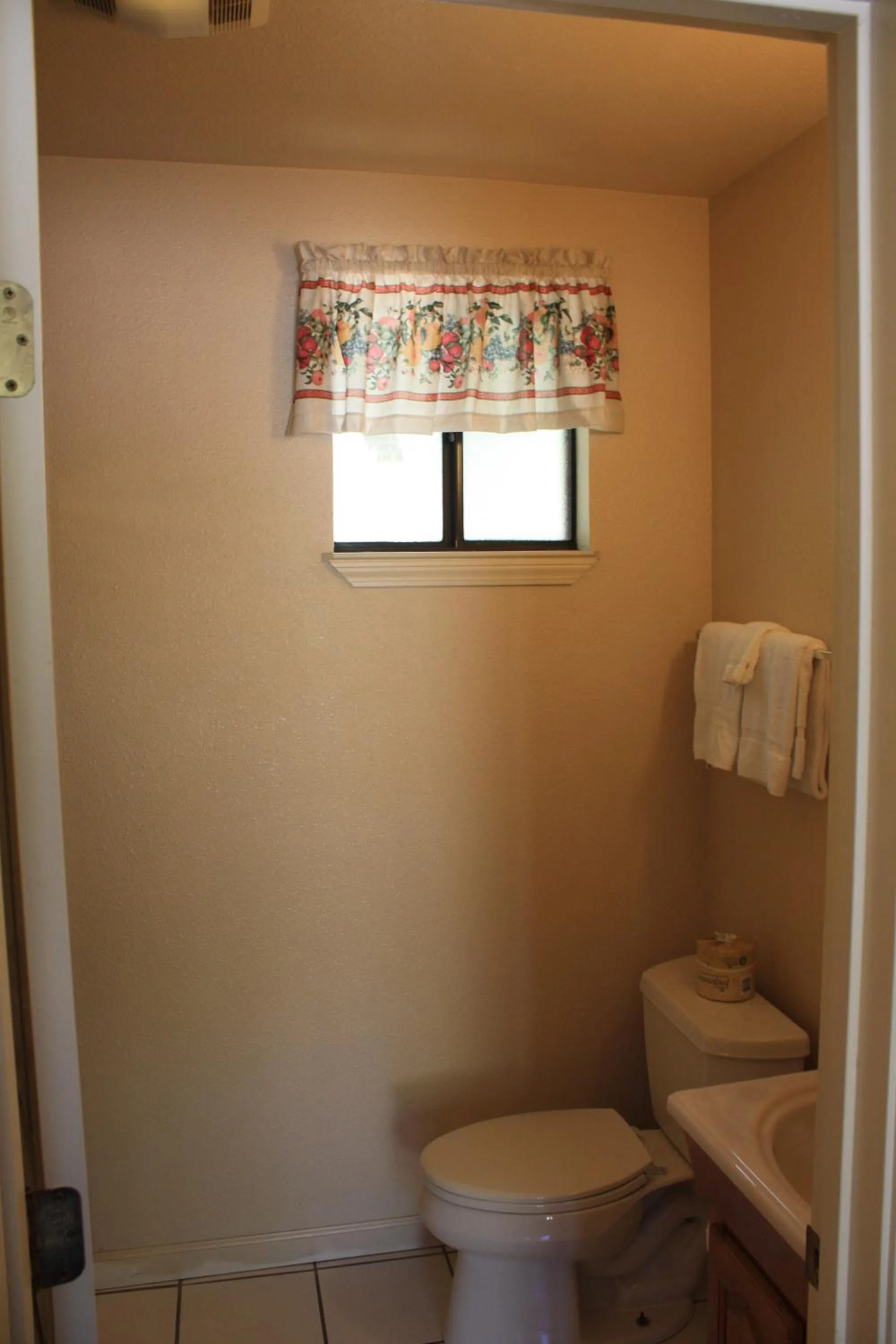 Toilet in Mother Lode Motel