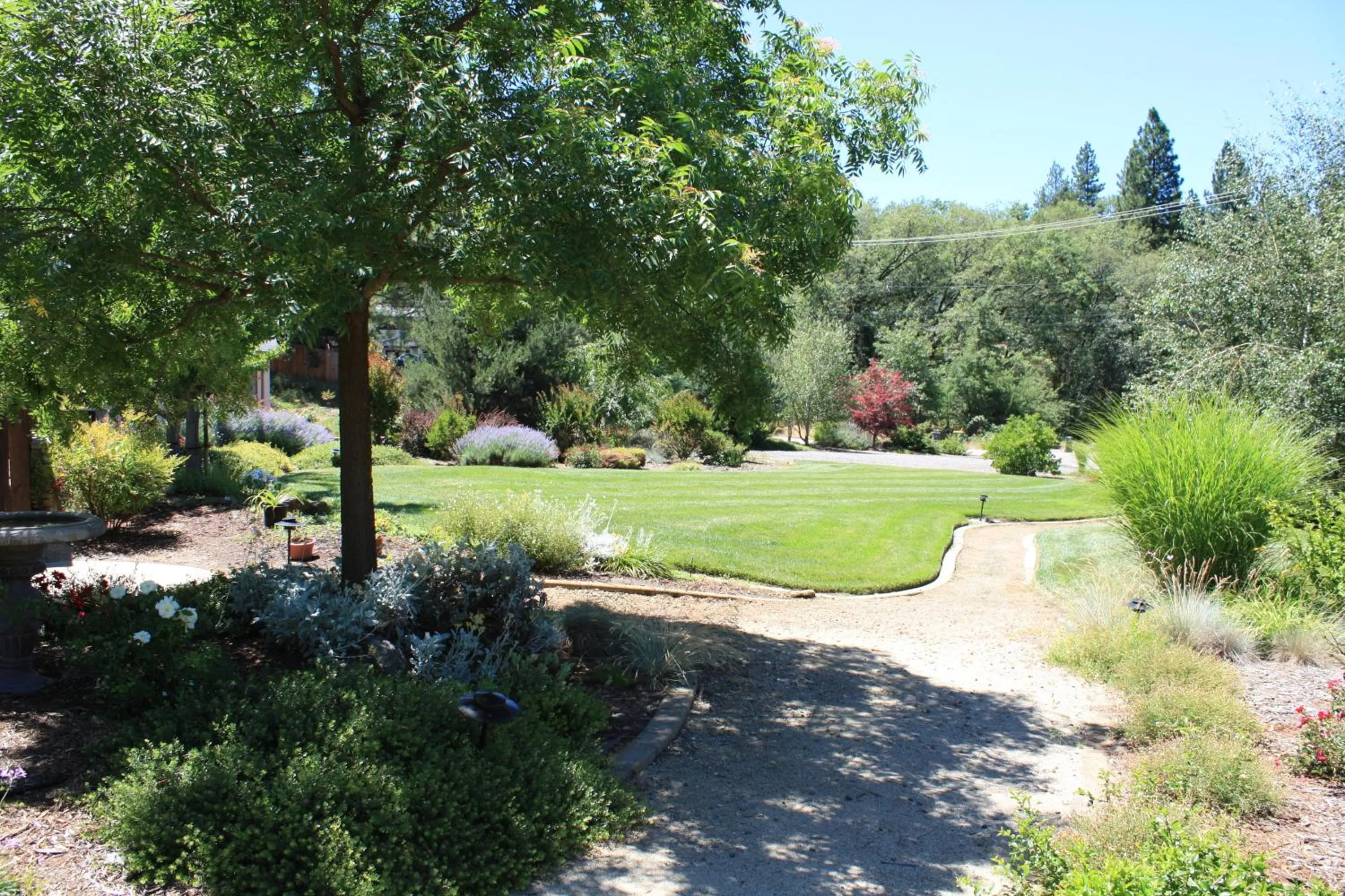 Day in Mother Lode Motel