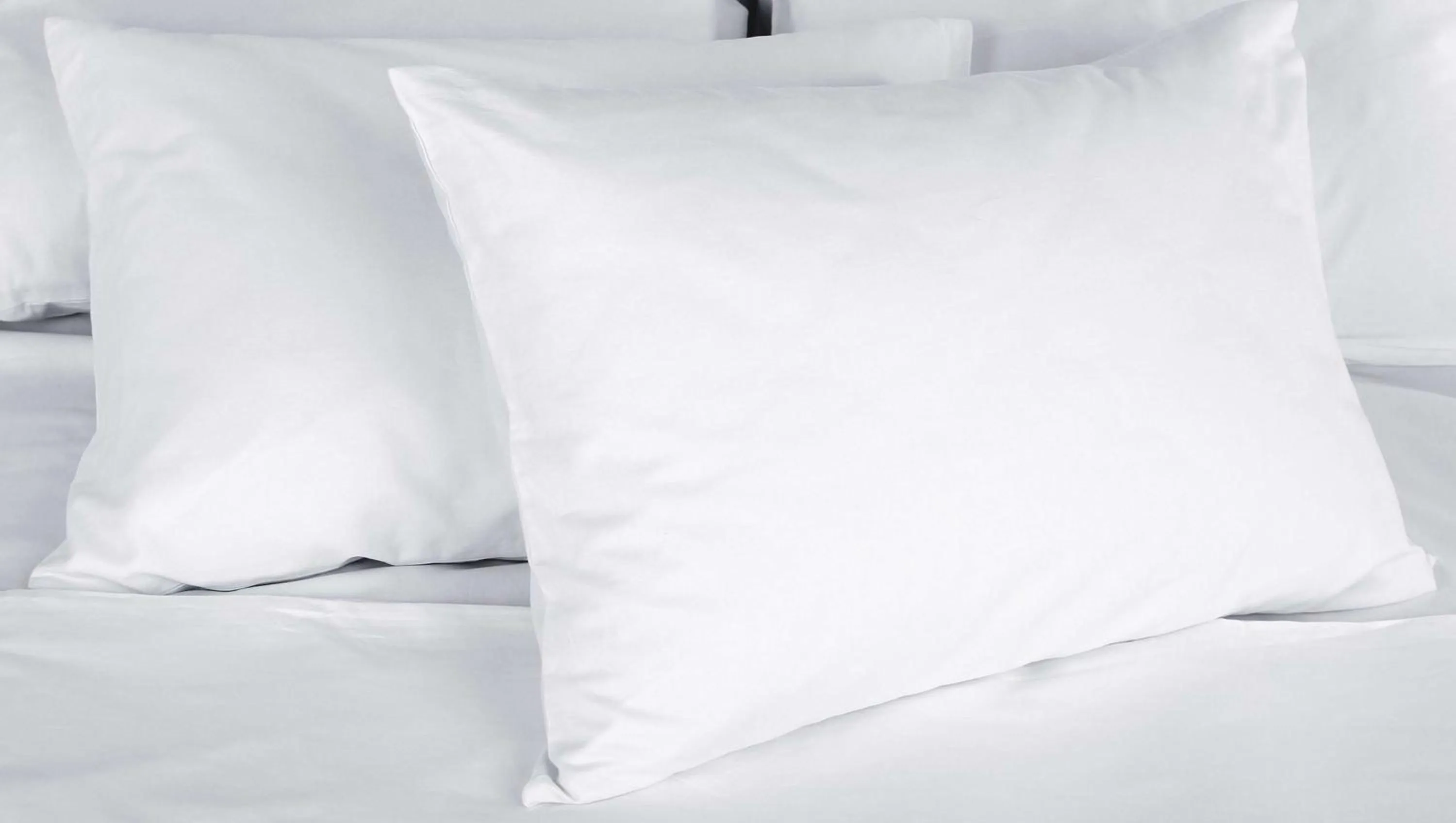 Photo of the whole room, Bed in Relax Inn Bloomsburg