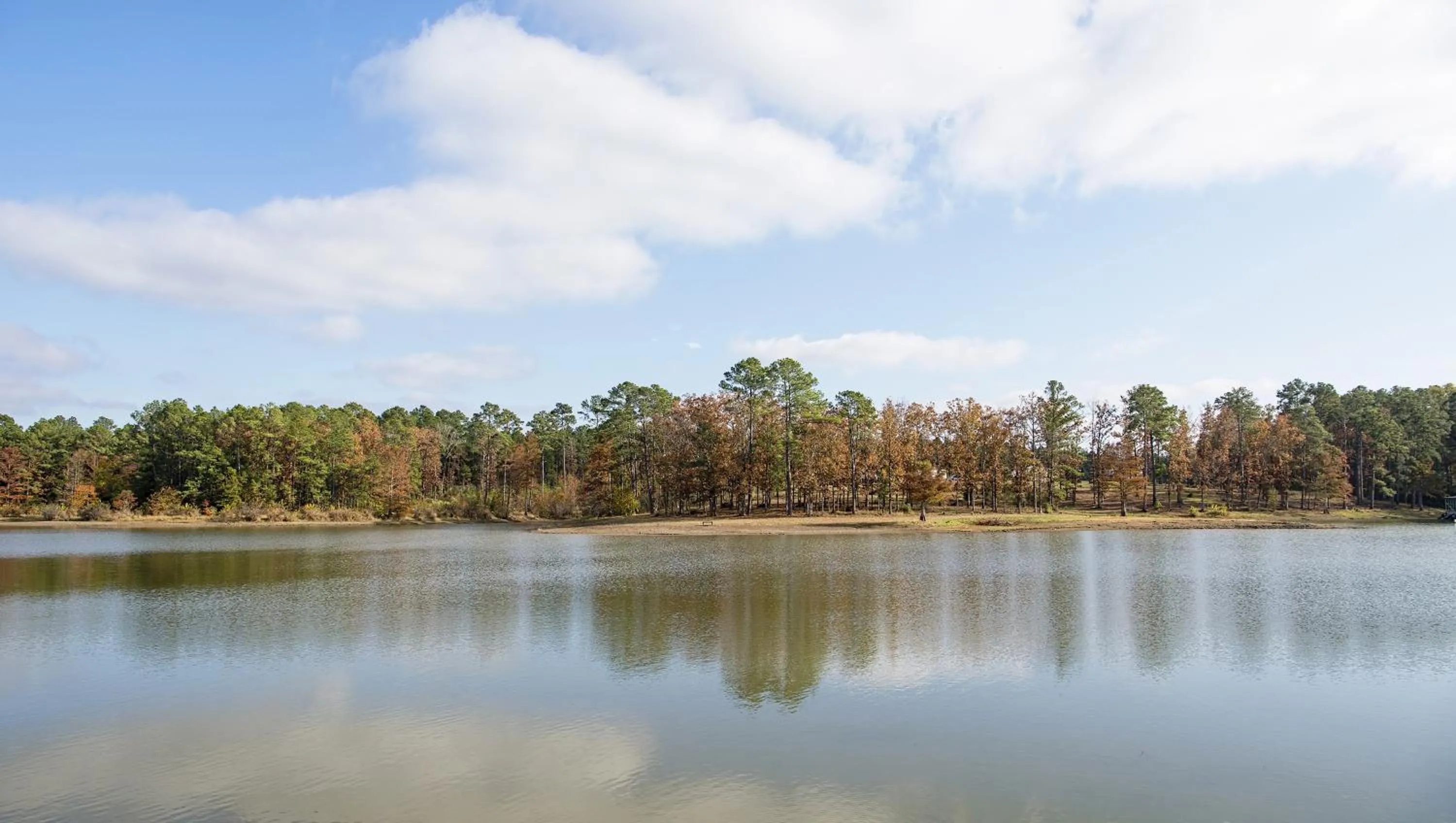 Activities in Xecutive Inn and Suites