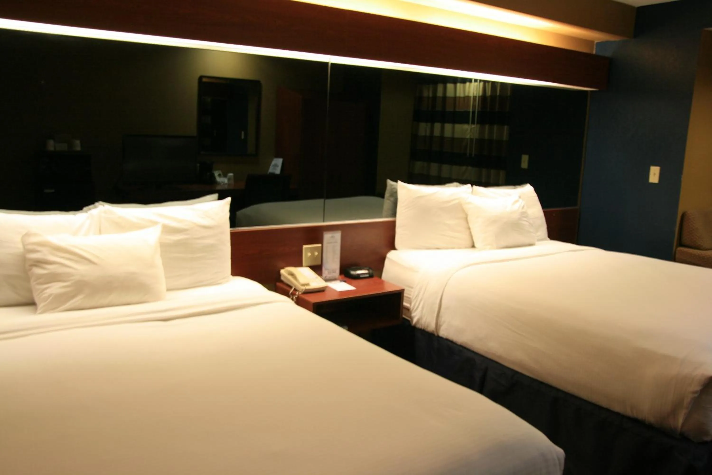 Decorative detail in Microtel Inn & Suites by Wyndham Starkville