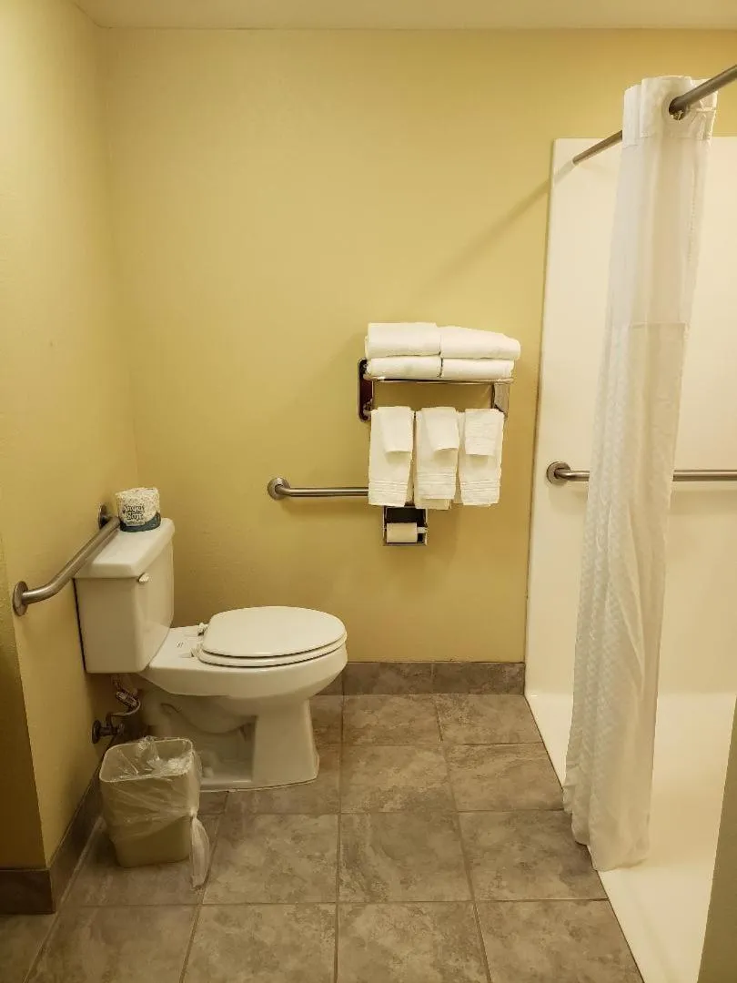 Bathroom in Microtel Inn & Suites by Wyndham Starkville