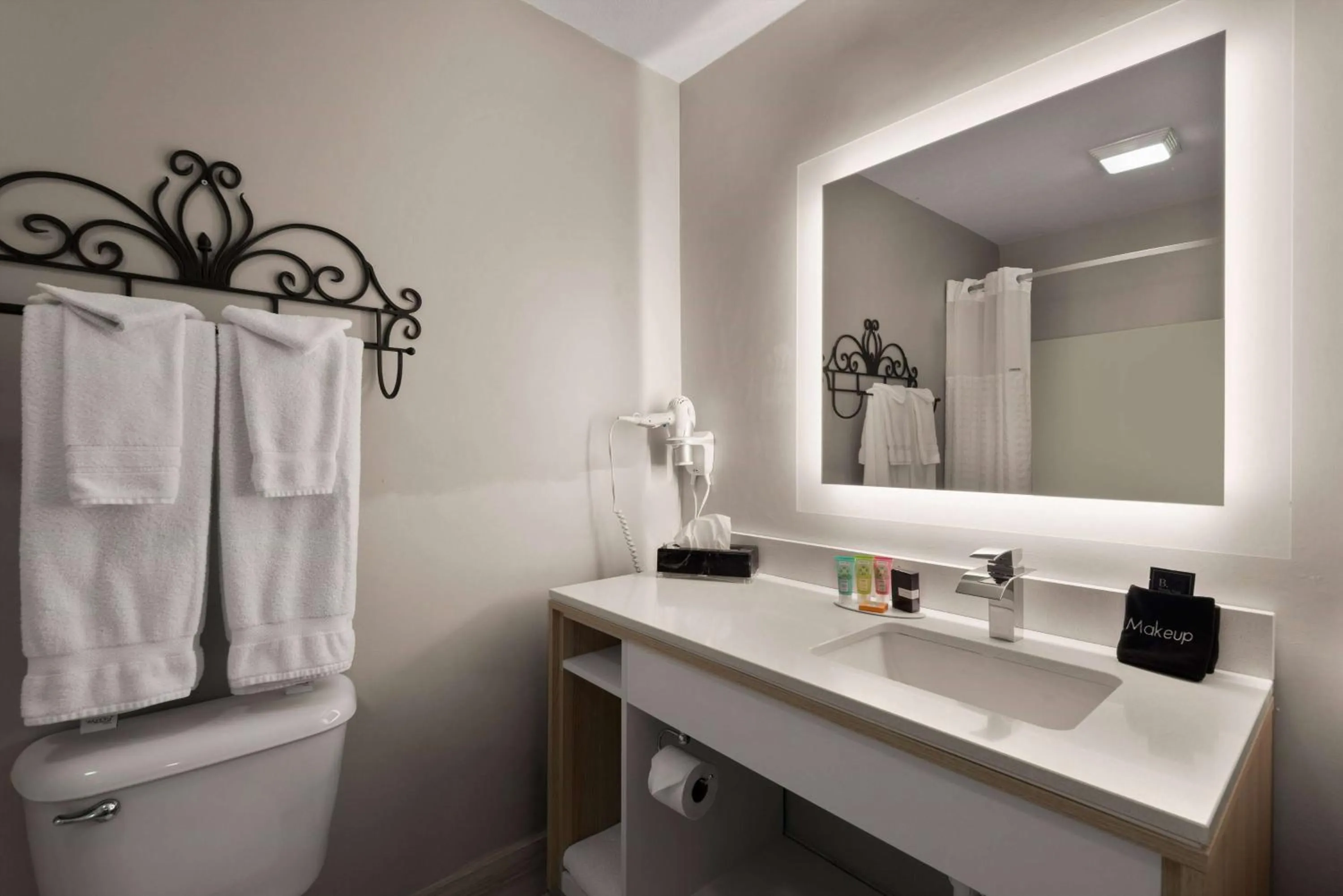 Bathroom in Wyndham Garden Galena Hotel & Day Spa