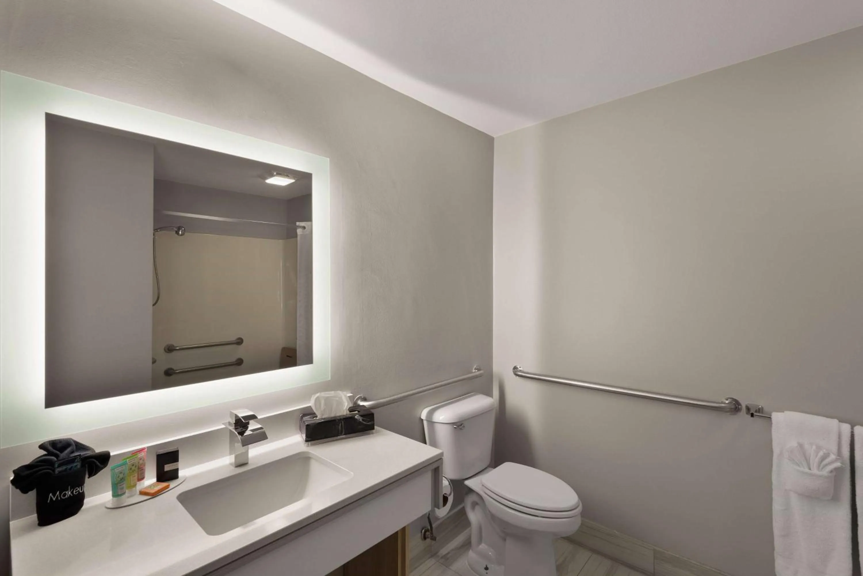 TV and multimedia in Wyndham Garden Galena Hotel & Day Spa