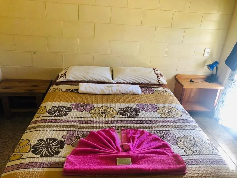 Bed in Transit Motel