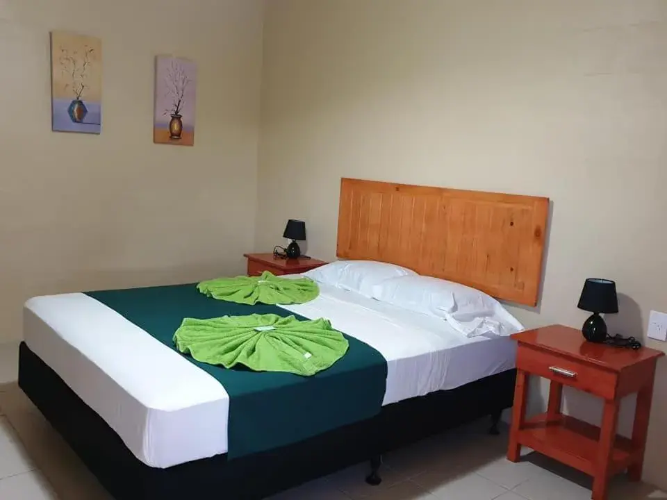 Standard Queen Room - single occupancy in Transit Motel Standard Queen Room - single occupancy in Transit Motel