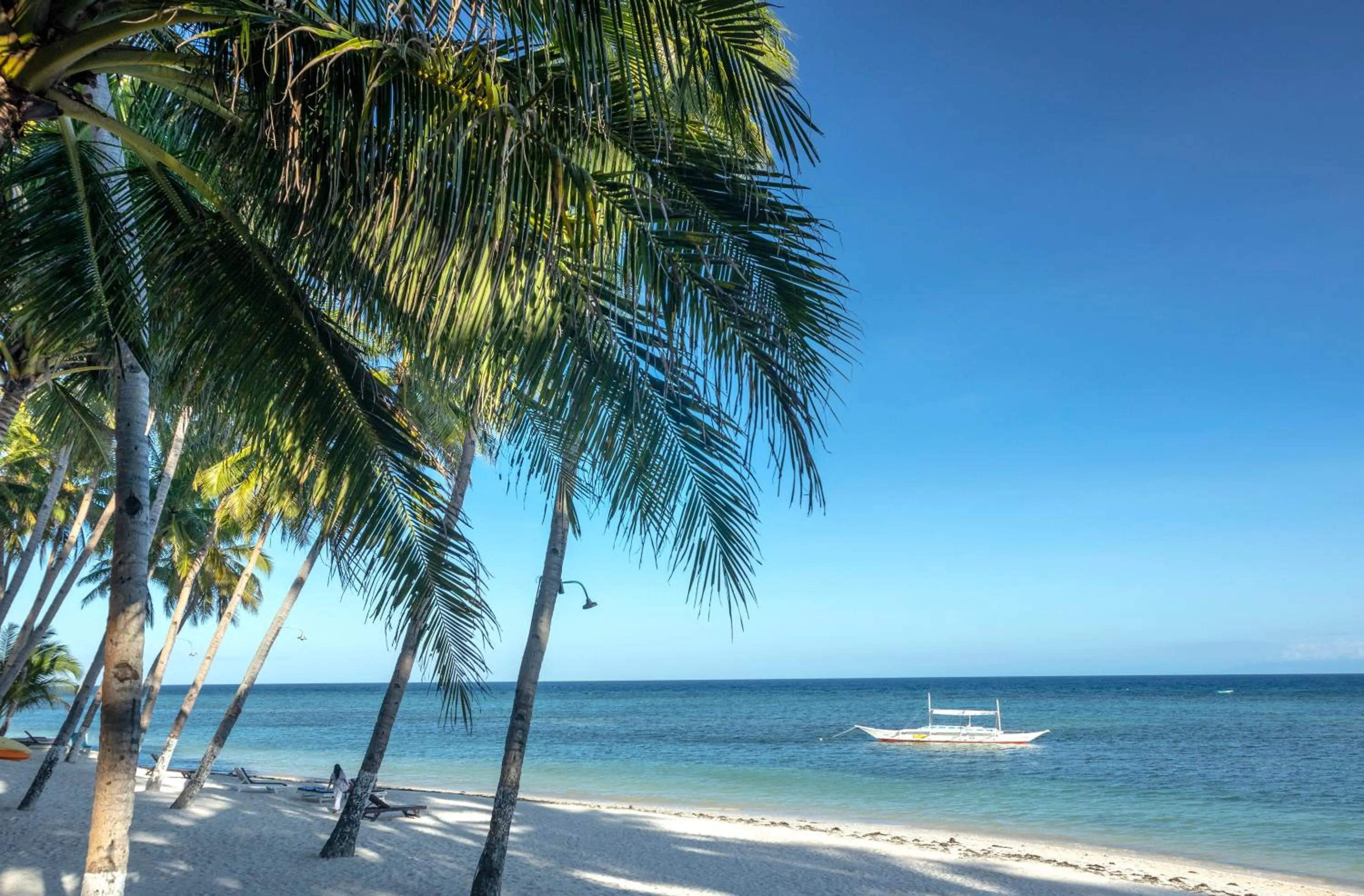 Three Little Birds Resort