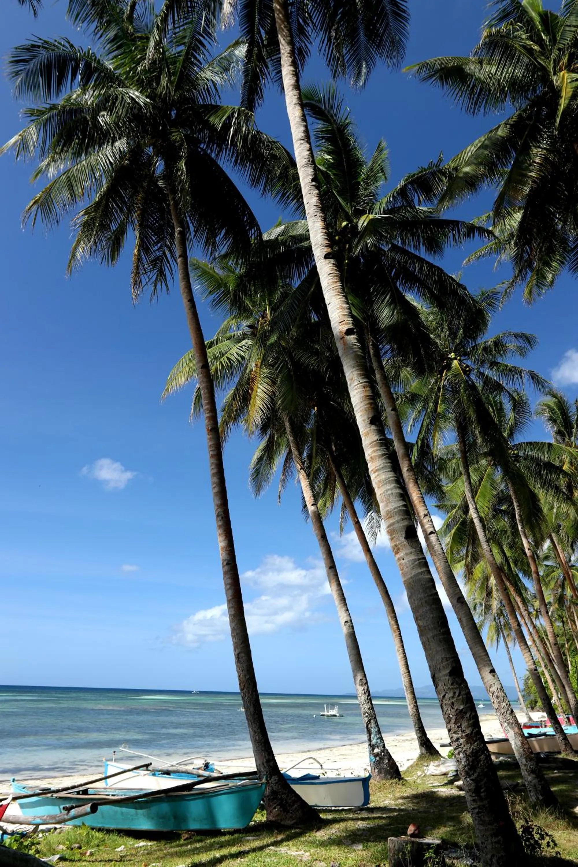 Three Little Birds Resort