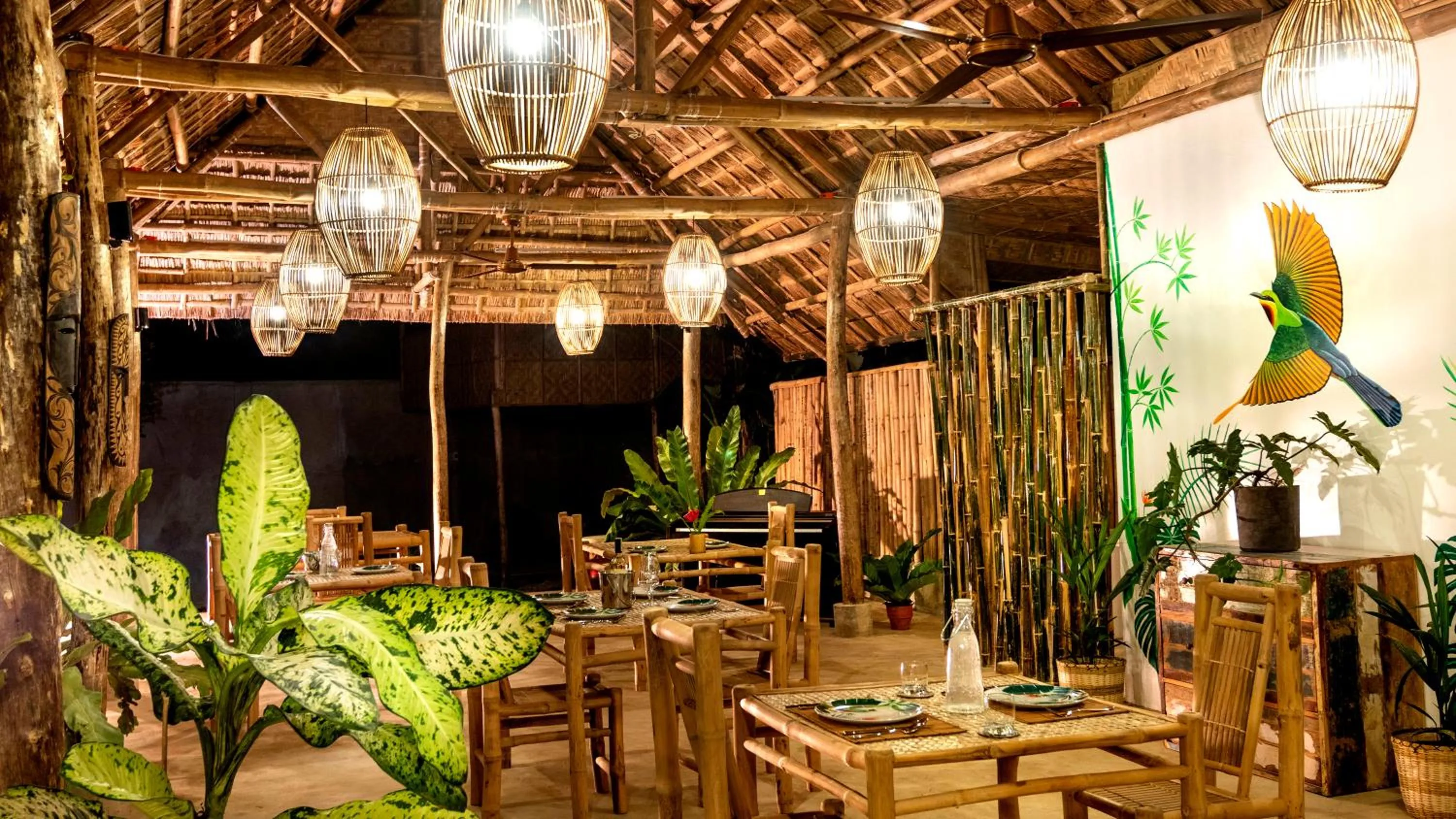 Three Little Birds Resort