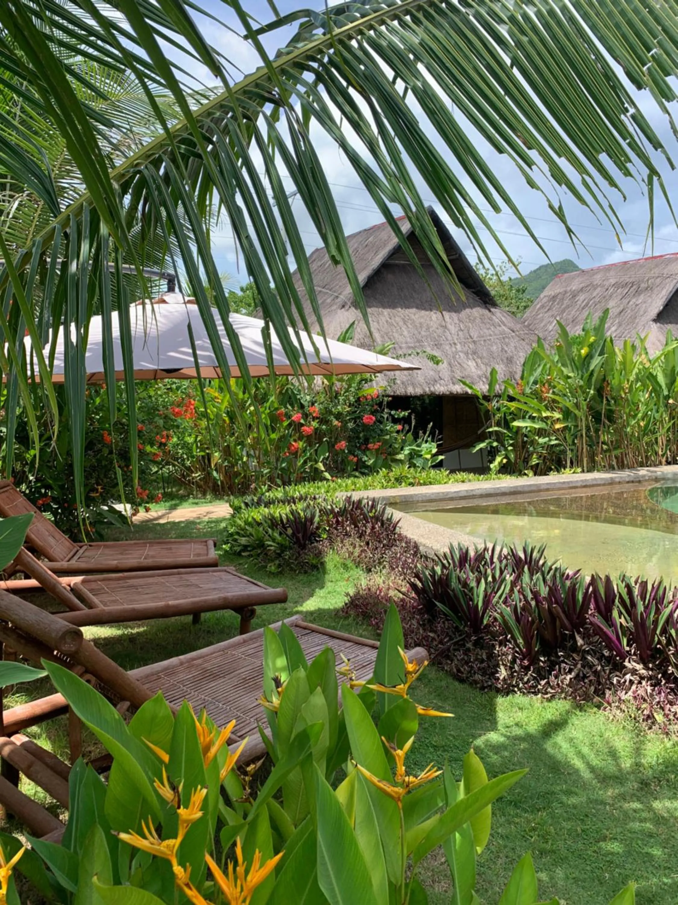 Inner courtyard view in Three Little Birds Resort