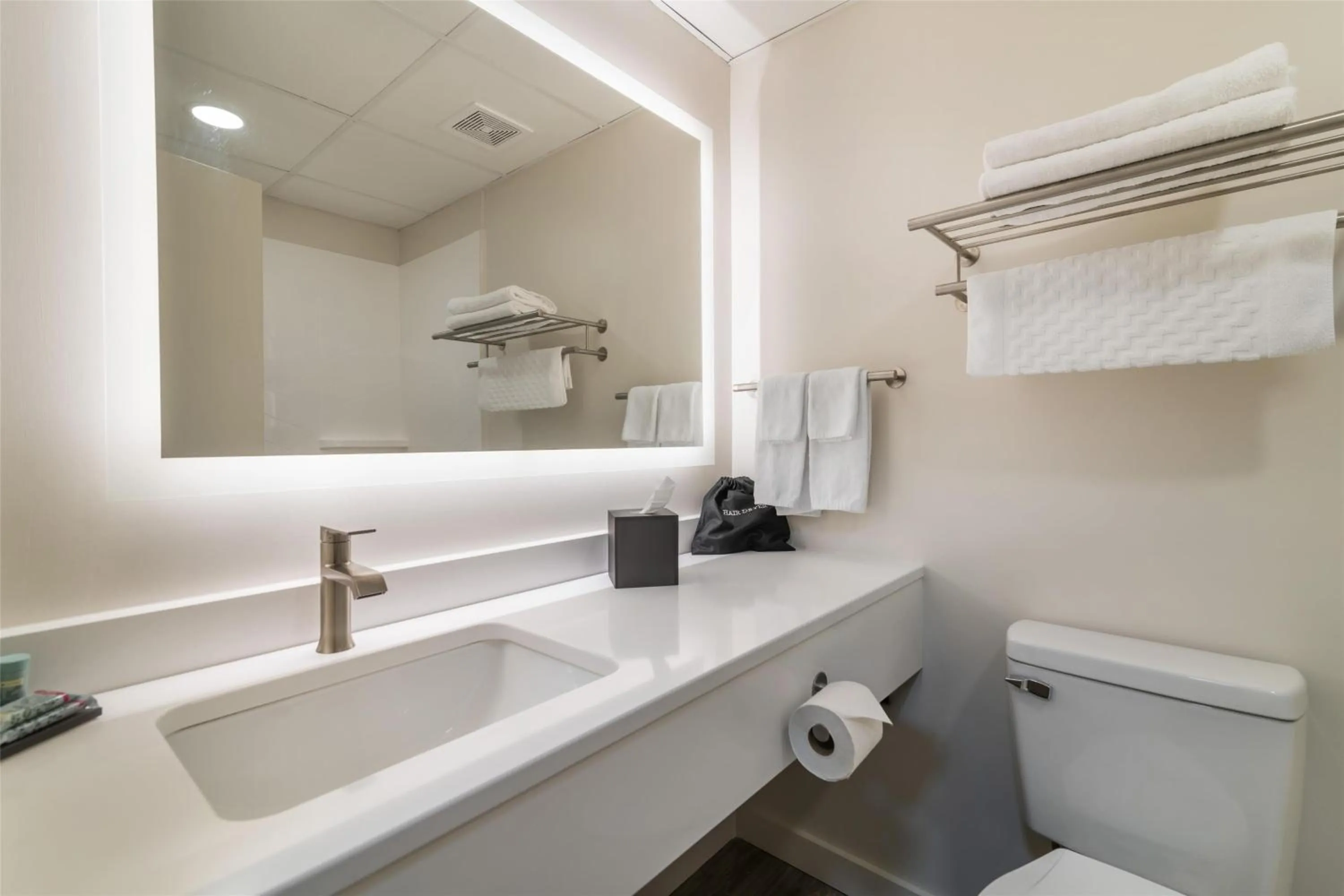Bathroom in Best Western Caribou Inn