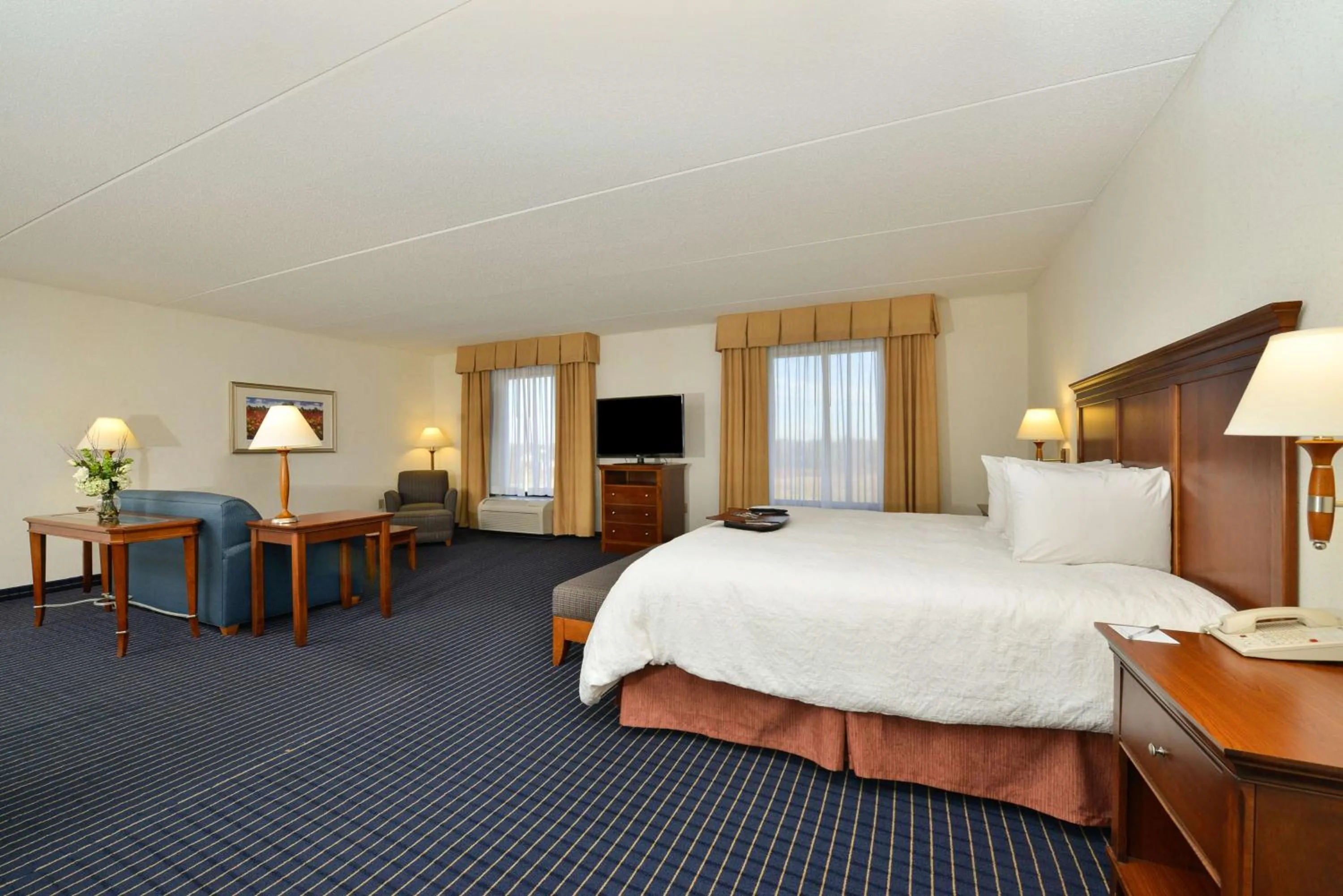 Bedroom, Bed in Hampton Inn Farmville