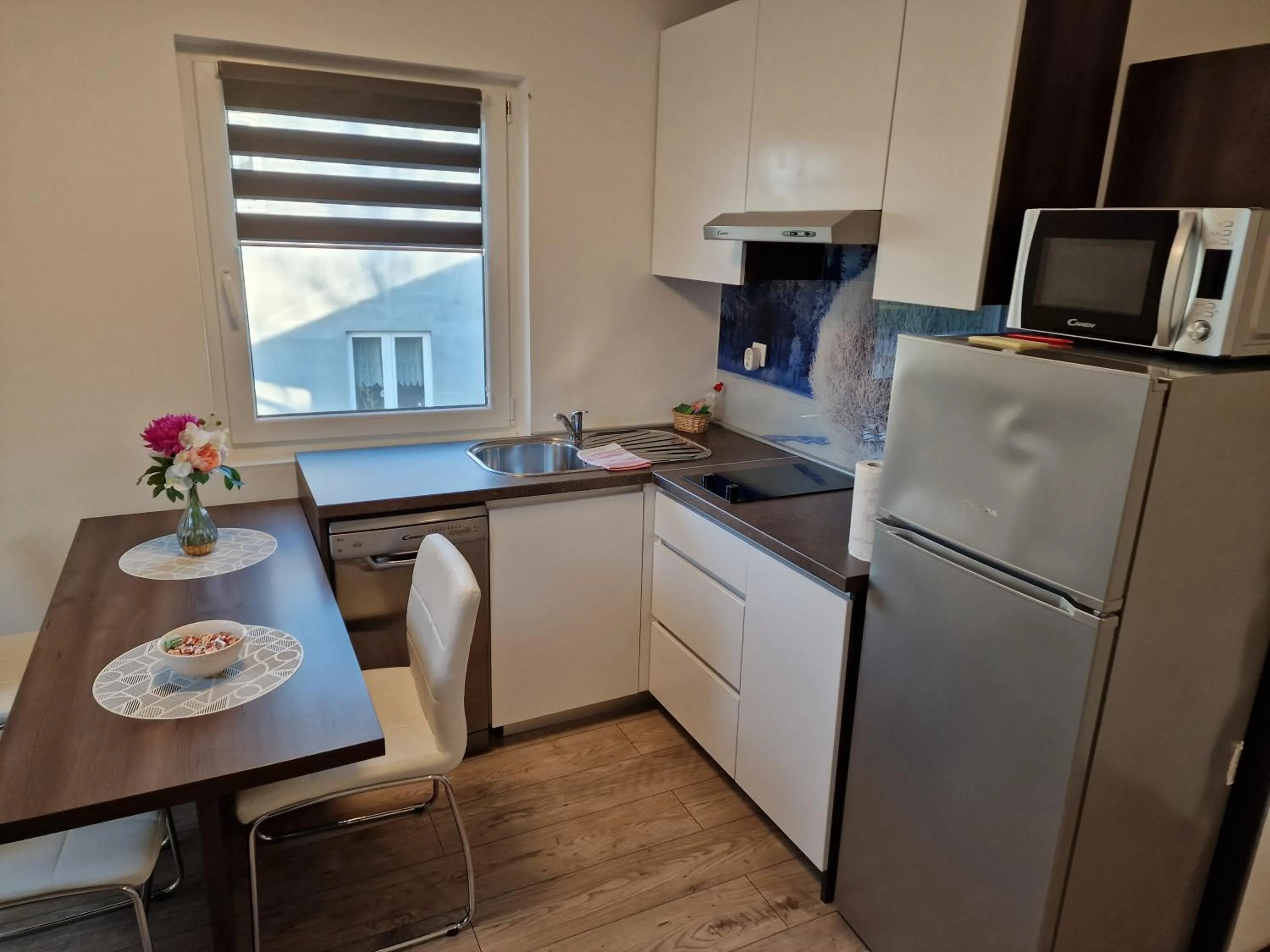 Kitchen or kitchenette in Seasons apartmani