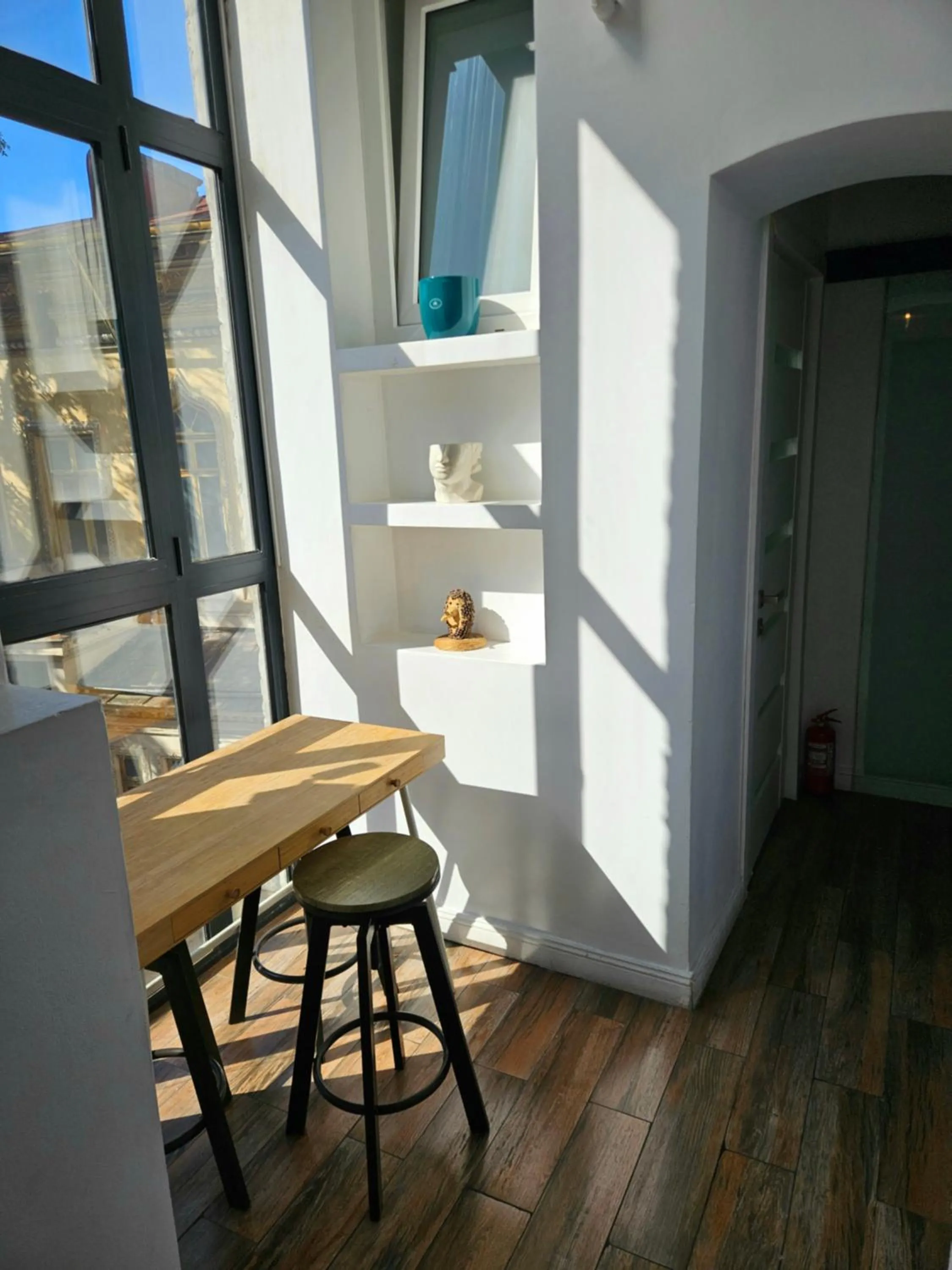 Area and facilities in Lascar Catargiu Villa