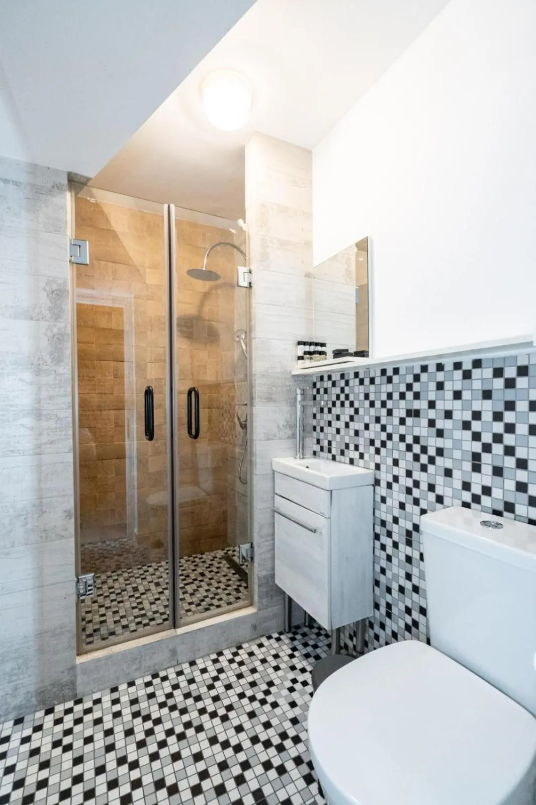 Shower in Lascar Catargiu Villa