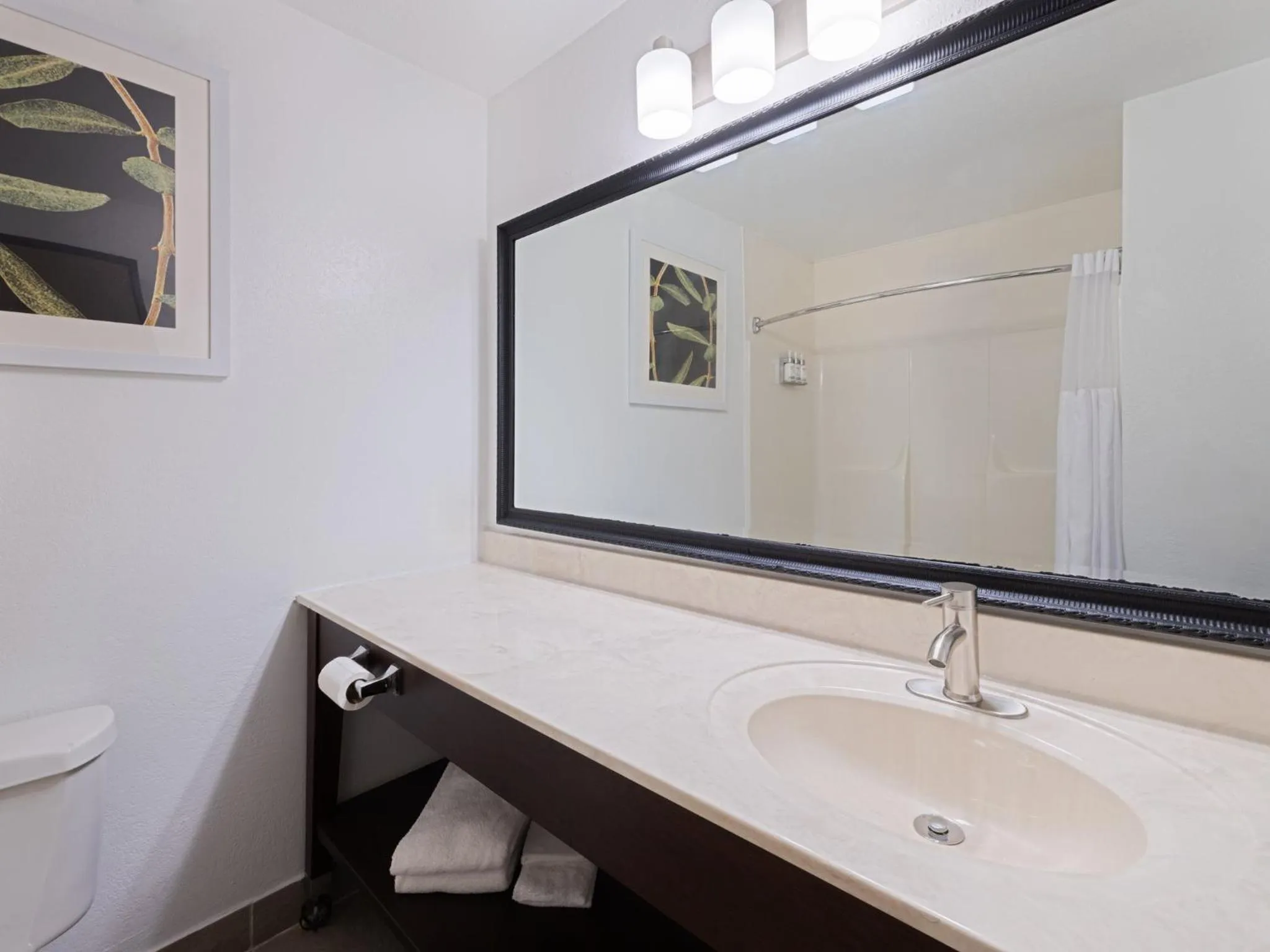 Bathroom in Garner Hotel Decatur - Forsyth by IHG