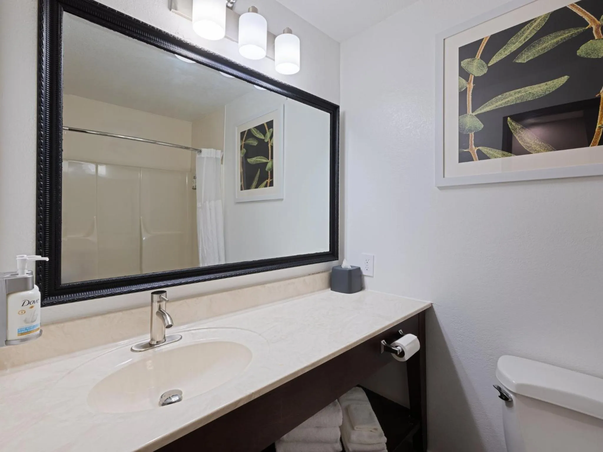 Bathroom in Garner Hotel Decatur - Forsyth by IHG