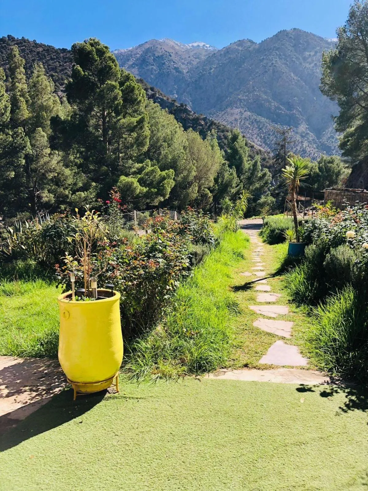 Garden view in Atlas Tigmi