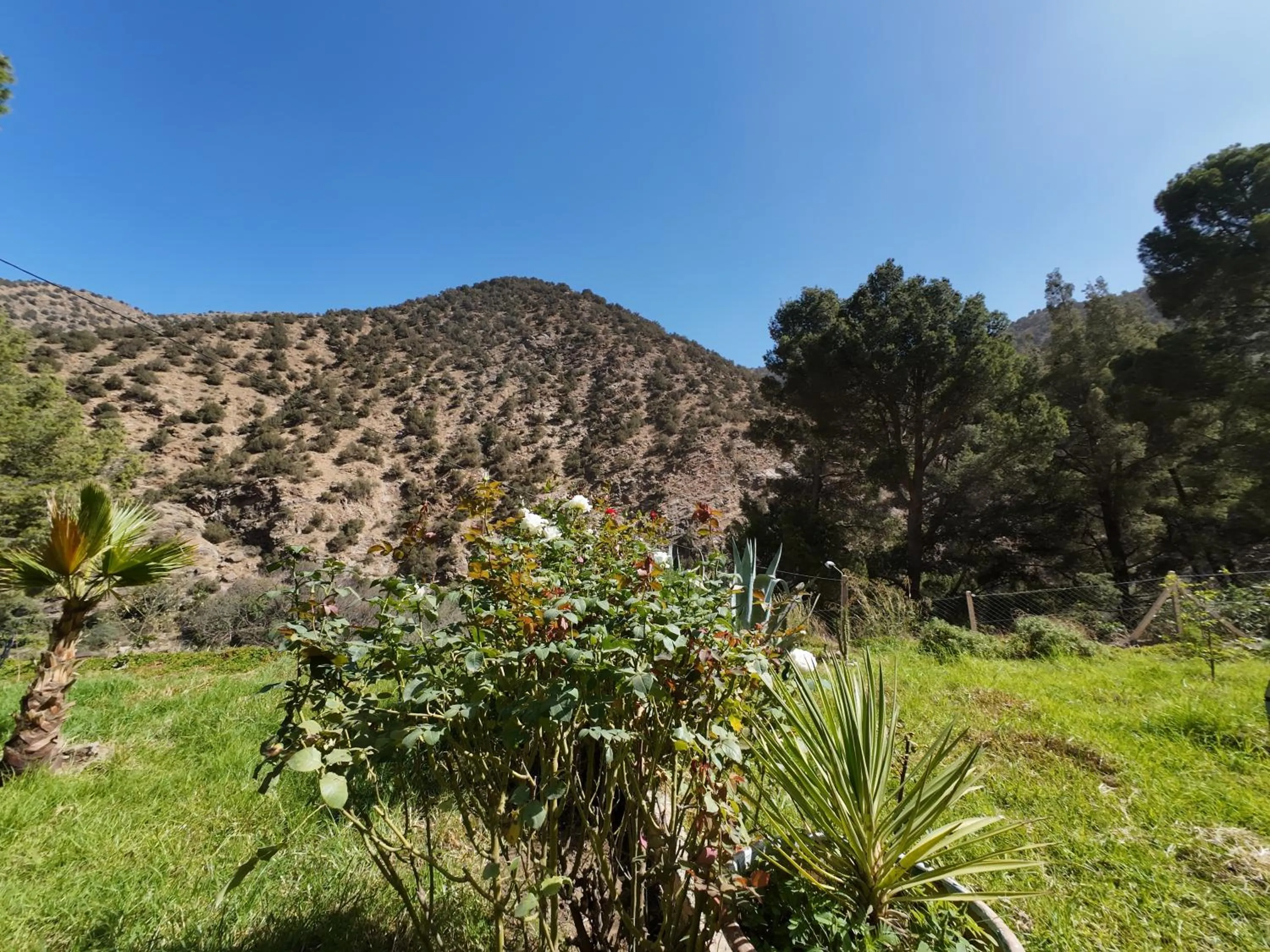 Mountain view in Atlas Tigmi