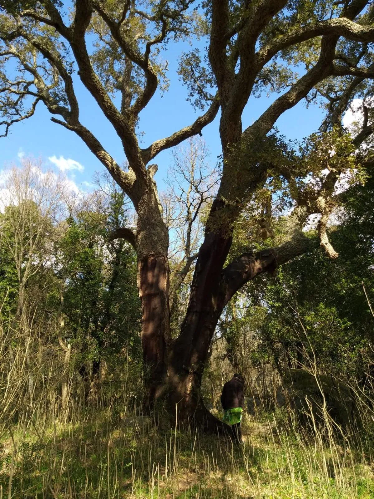Natural landscape in La Vecchia Posta B&B