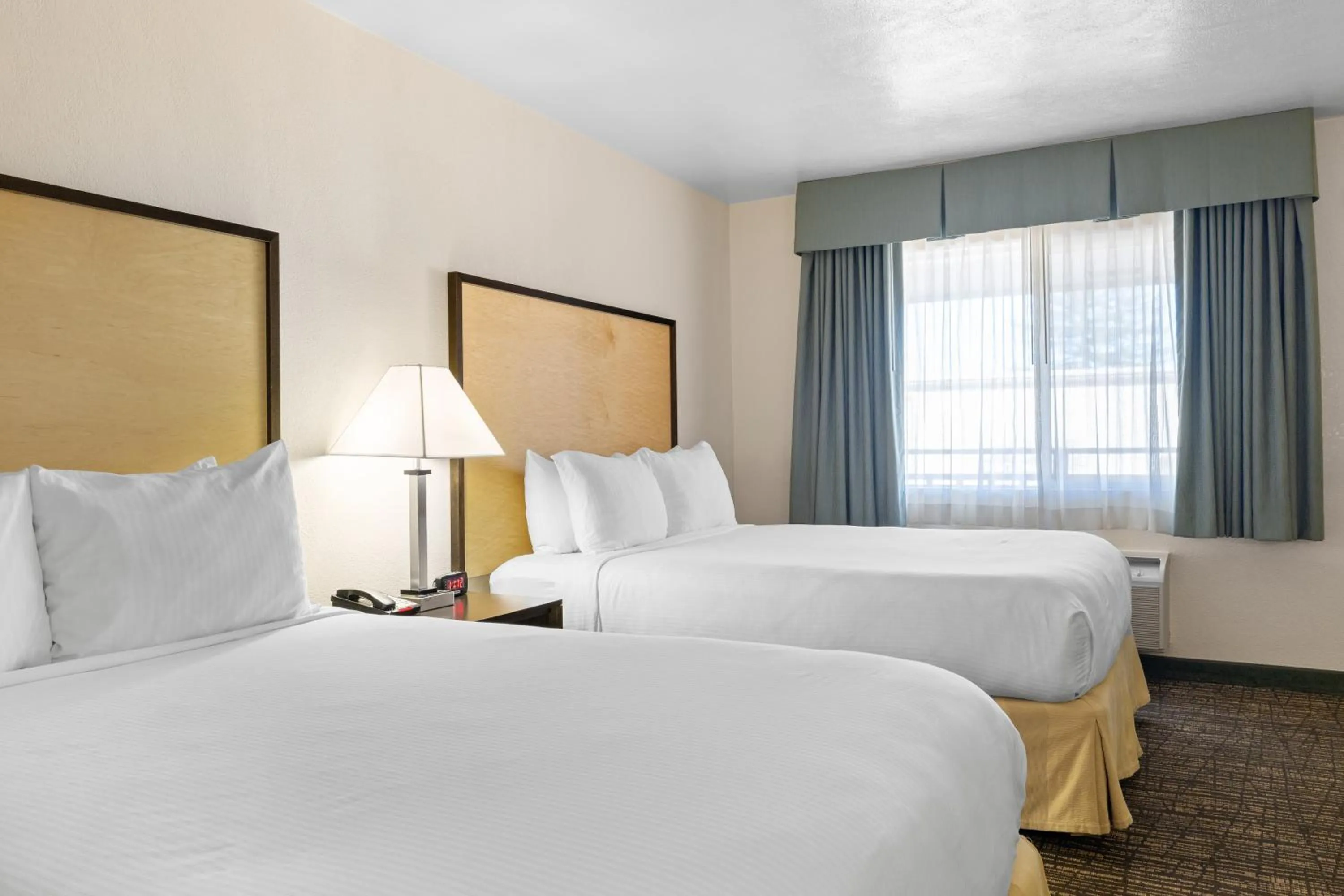 Bed in Best Western Petaluma Inn