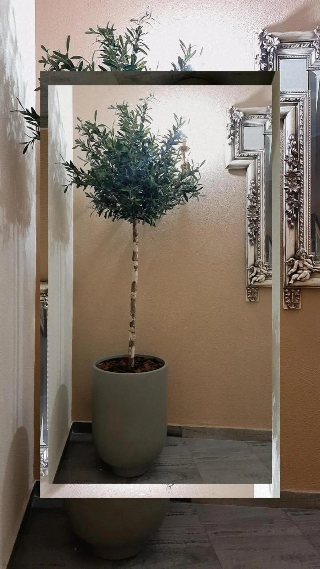 Property building in Lido Hotel