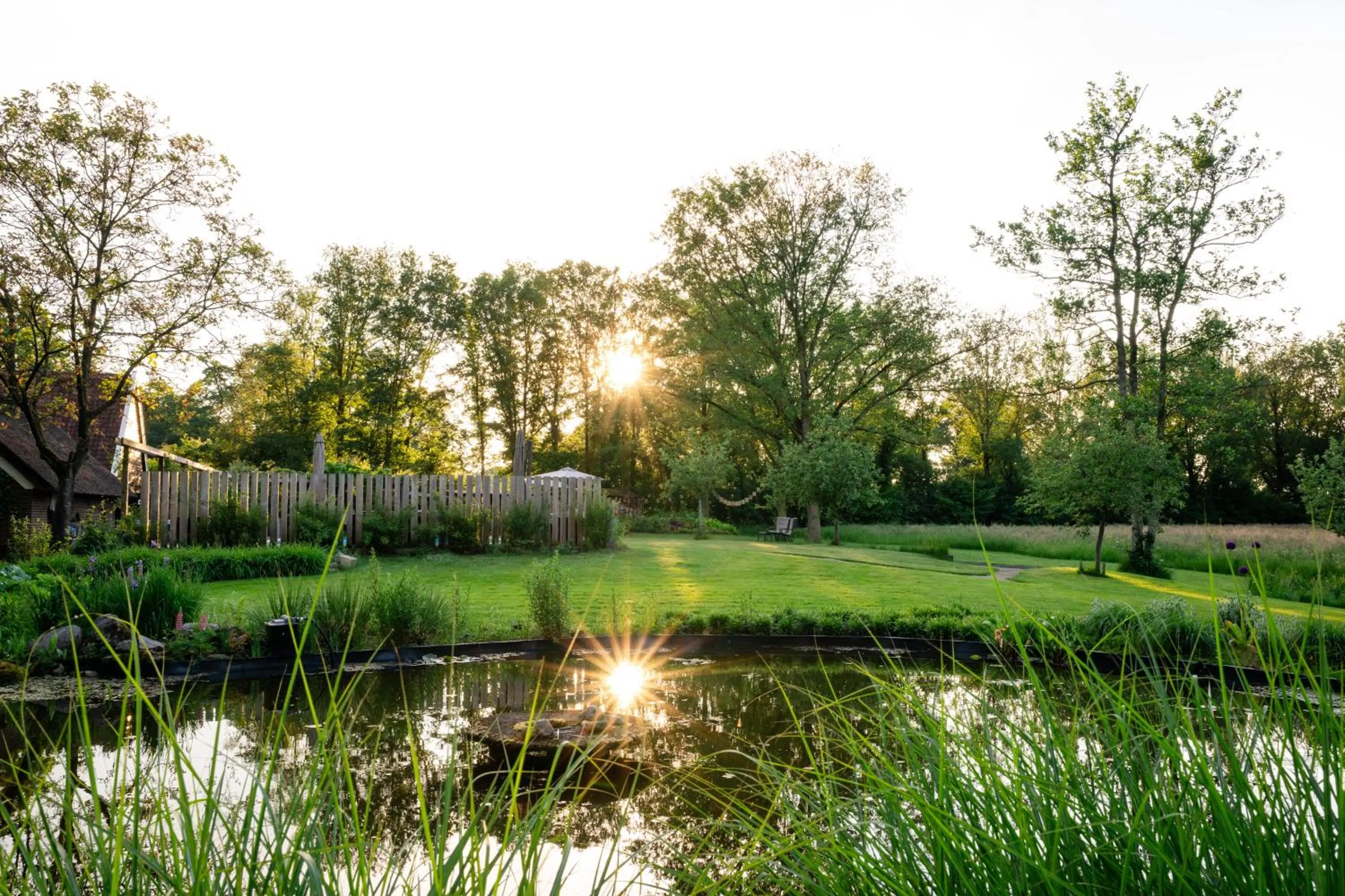 Garden view in B&B Otterstee