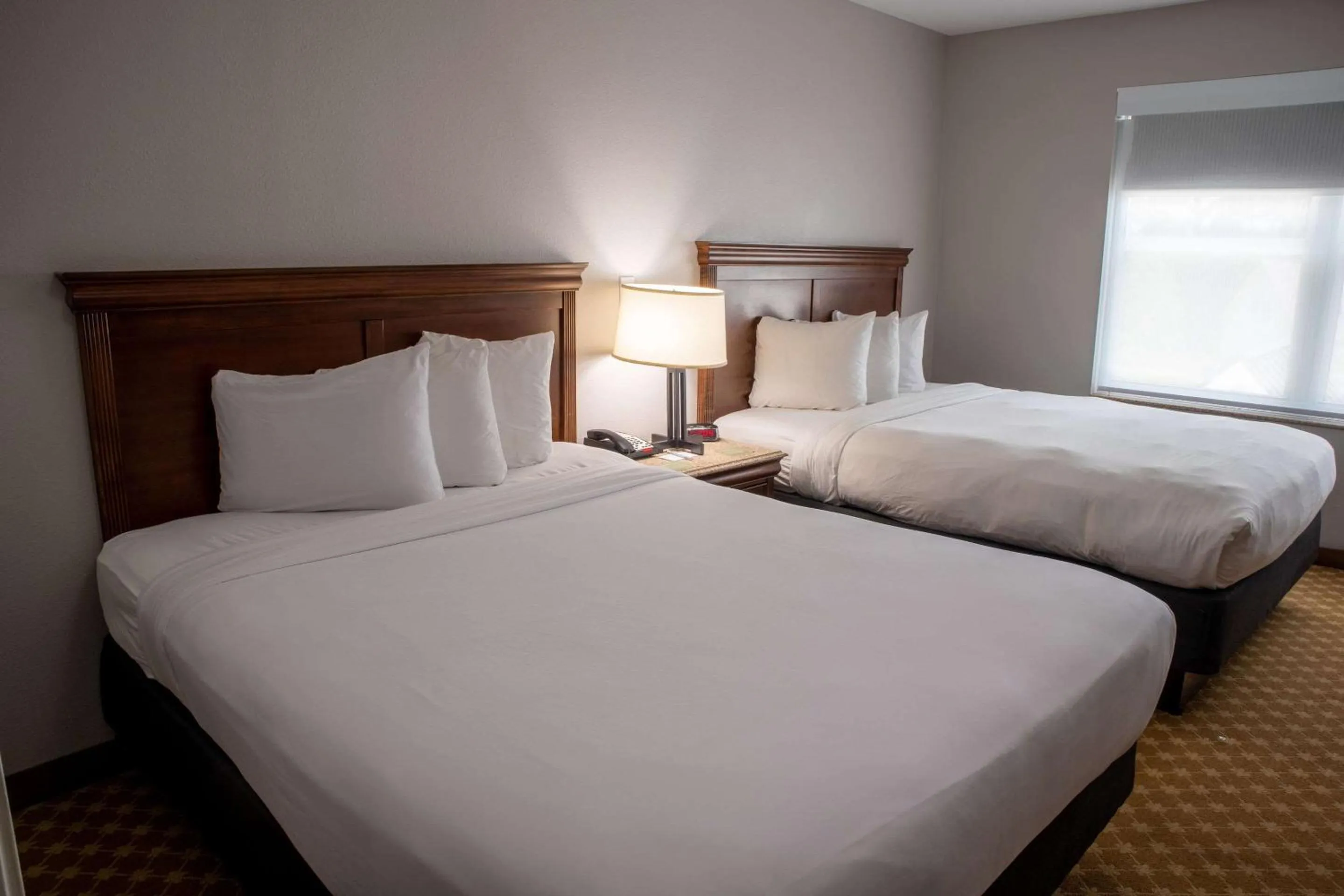 Bedroom, Bed in Country Inn & Suites by Radisson, Wilmington, NC