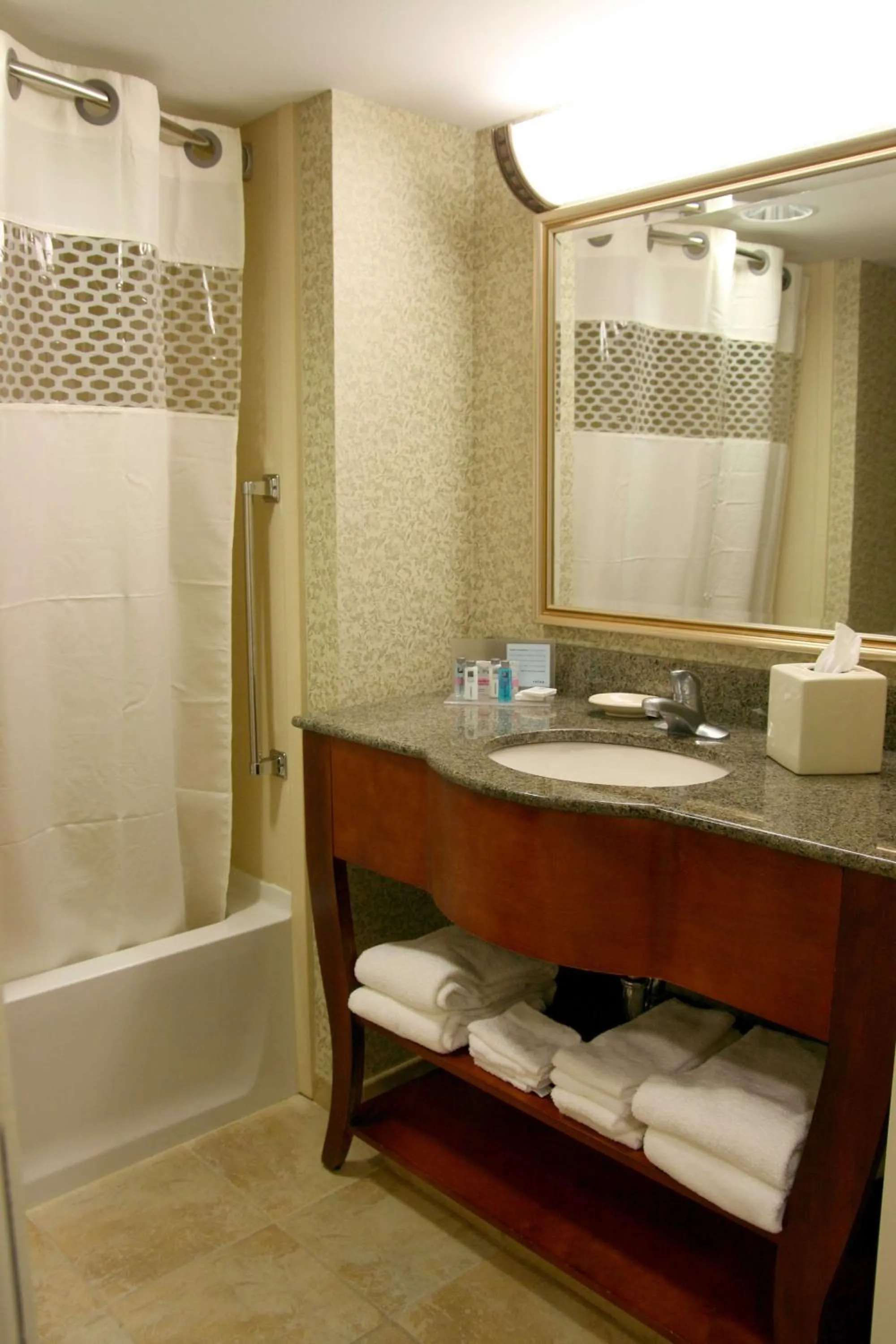 Bathroom in Hampton Inn Easton