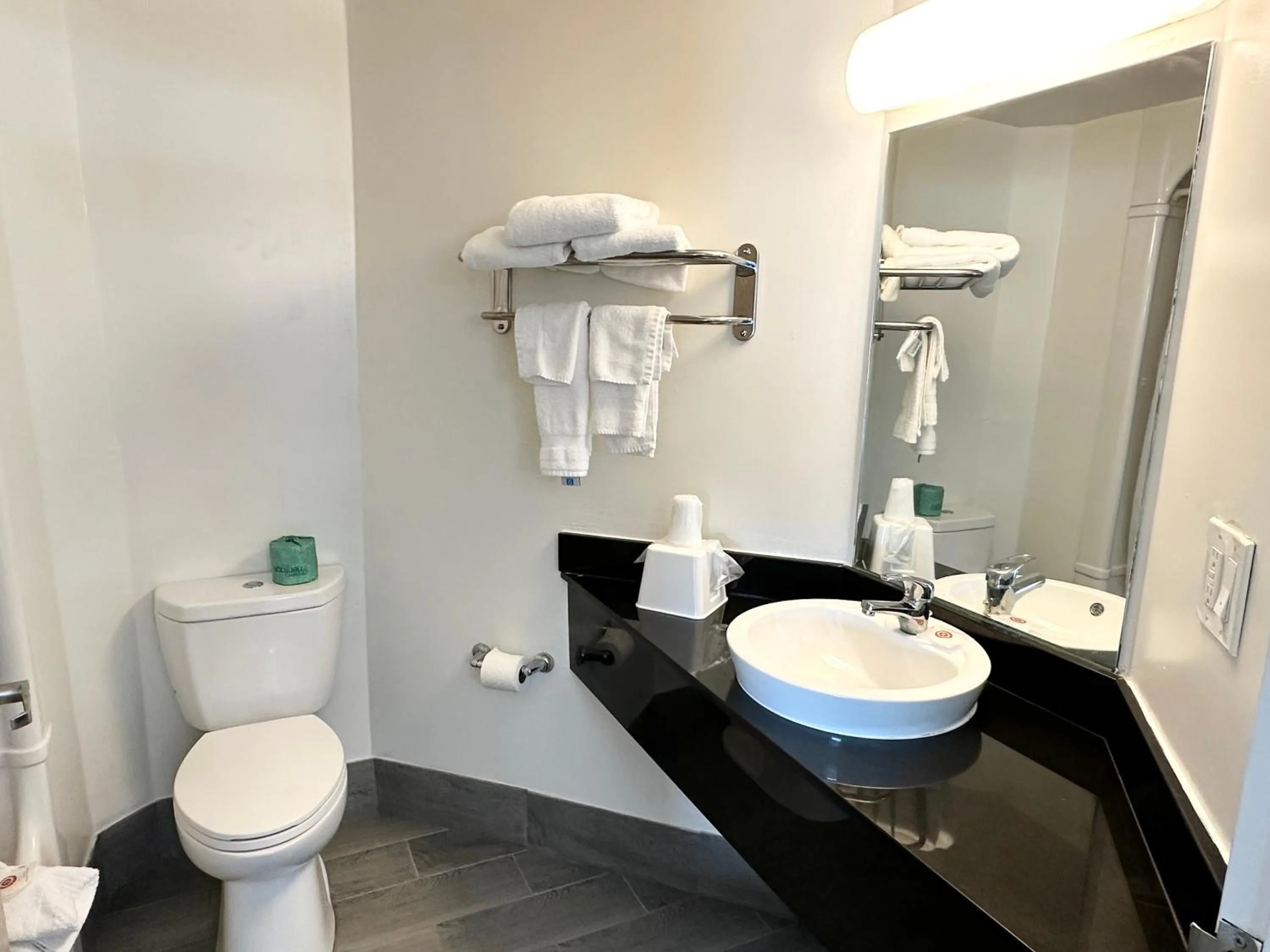 Bathroom in Ramada by Wyndham Lithia Springs Atlanta