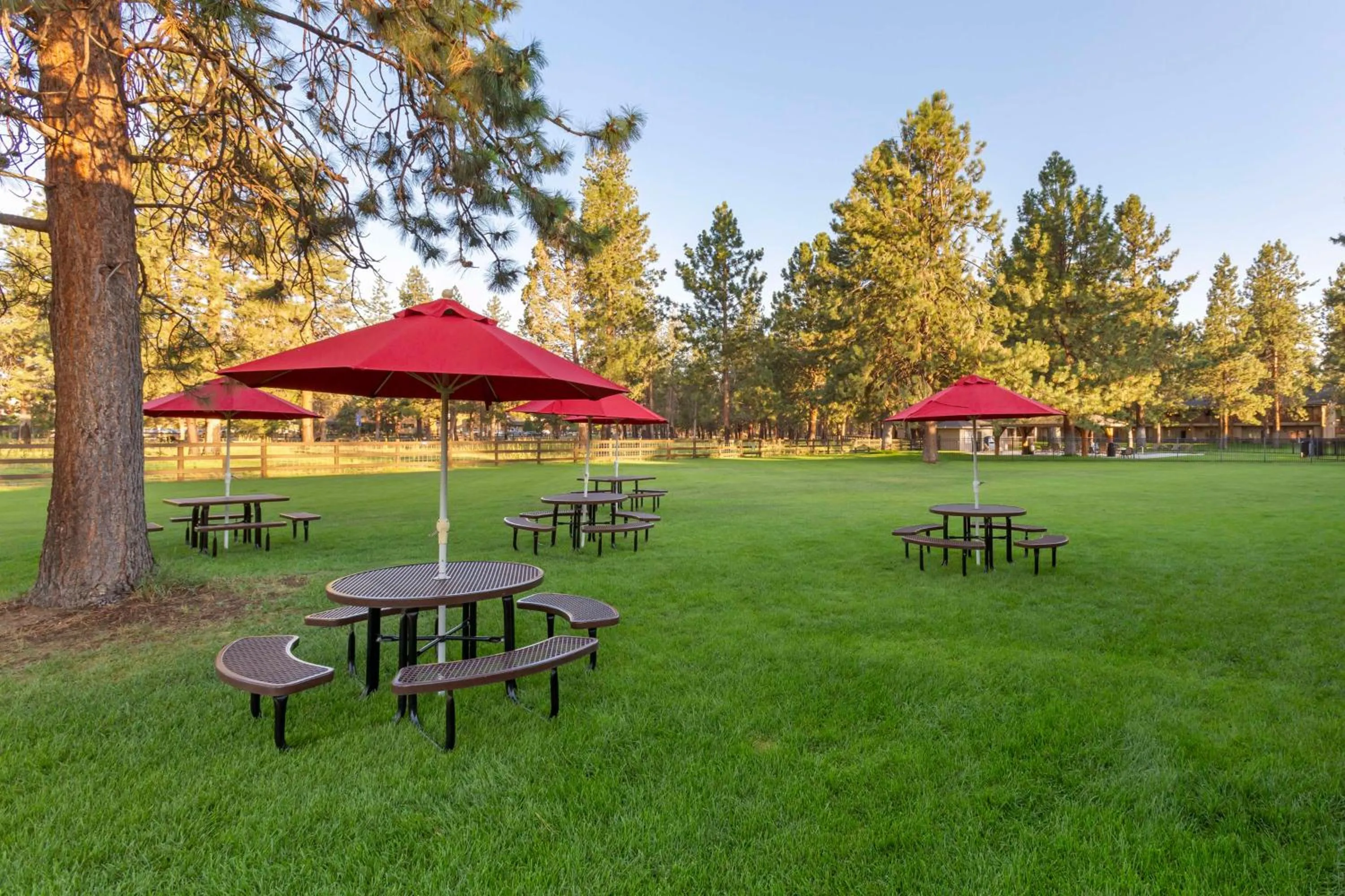 Property building in Best Western Ponderosa Lodge