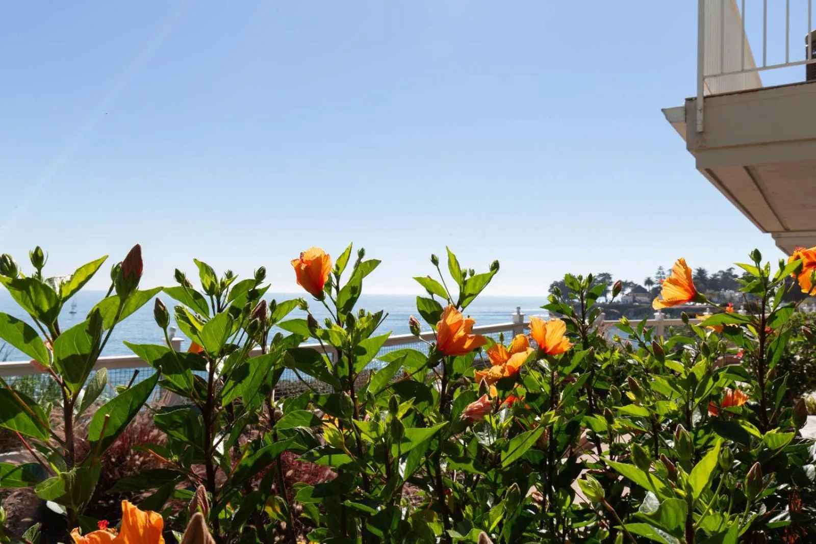 Balcony/Terrace in Sea & Sand Inn