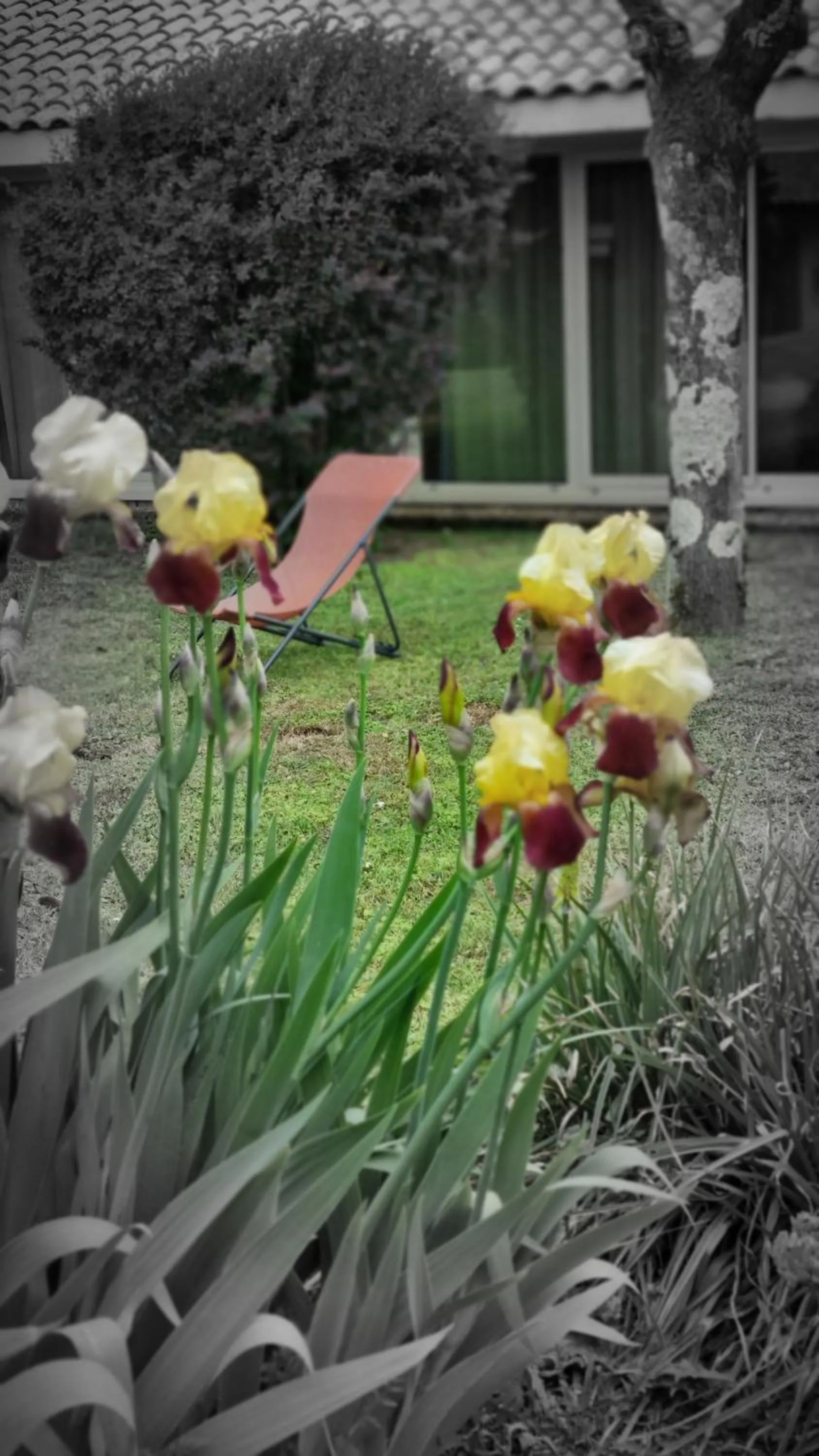 Spring in Kyriad Angoulême Nord Champniers- Hôtel & Résidence