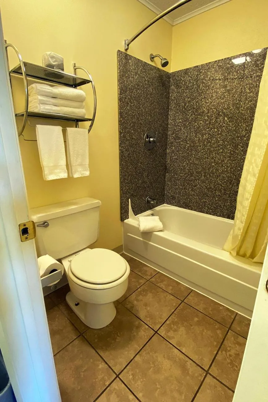Shower, Bathroom in Budget Inn