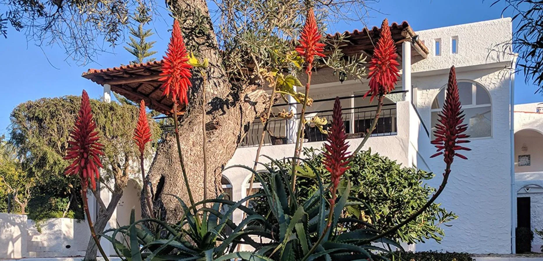 Property building in Vivenda Balou