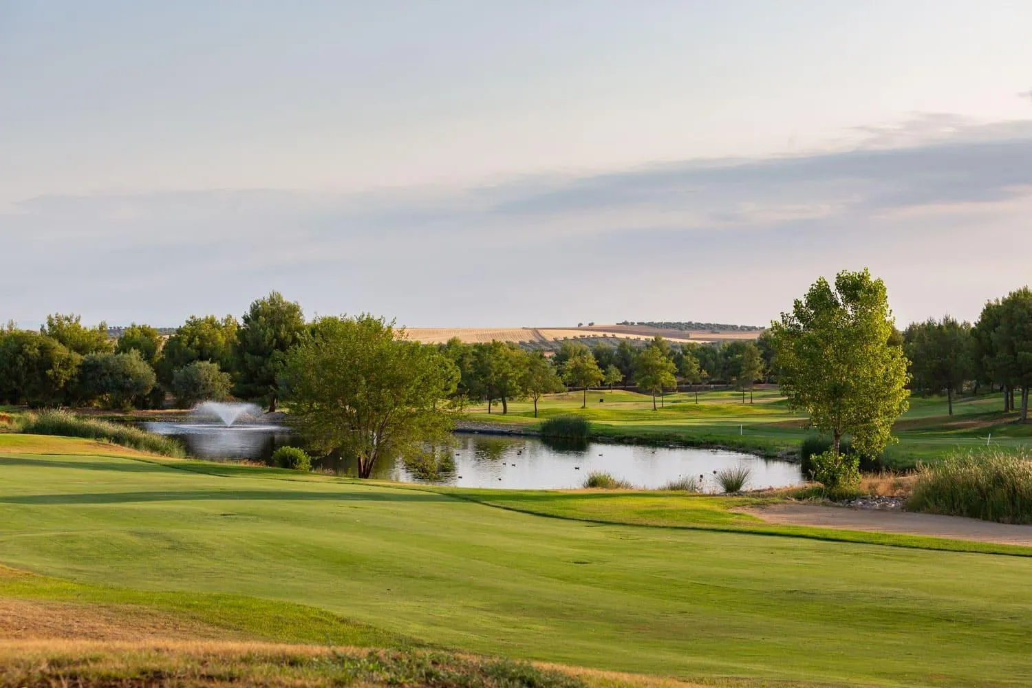 Golfcourse in Exe Layos Golf