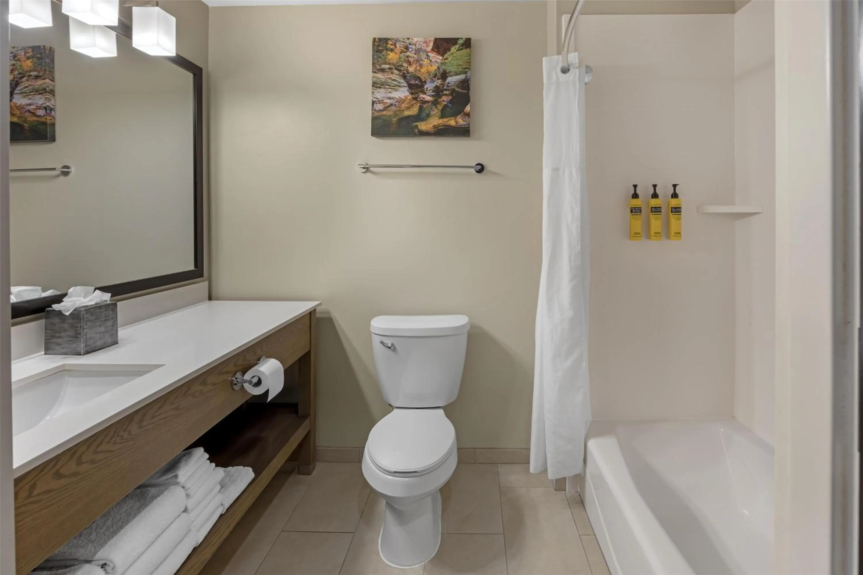 Bathroom in Best Western Plus Zion Canyon Inn & Suites