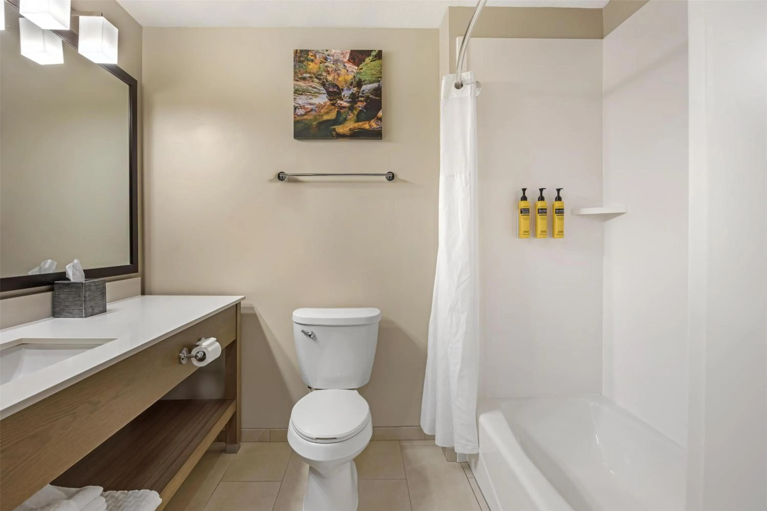 Bathroom in Best Western Plus Zion Canyon Inn & Suites