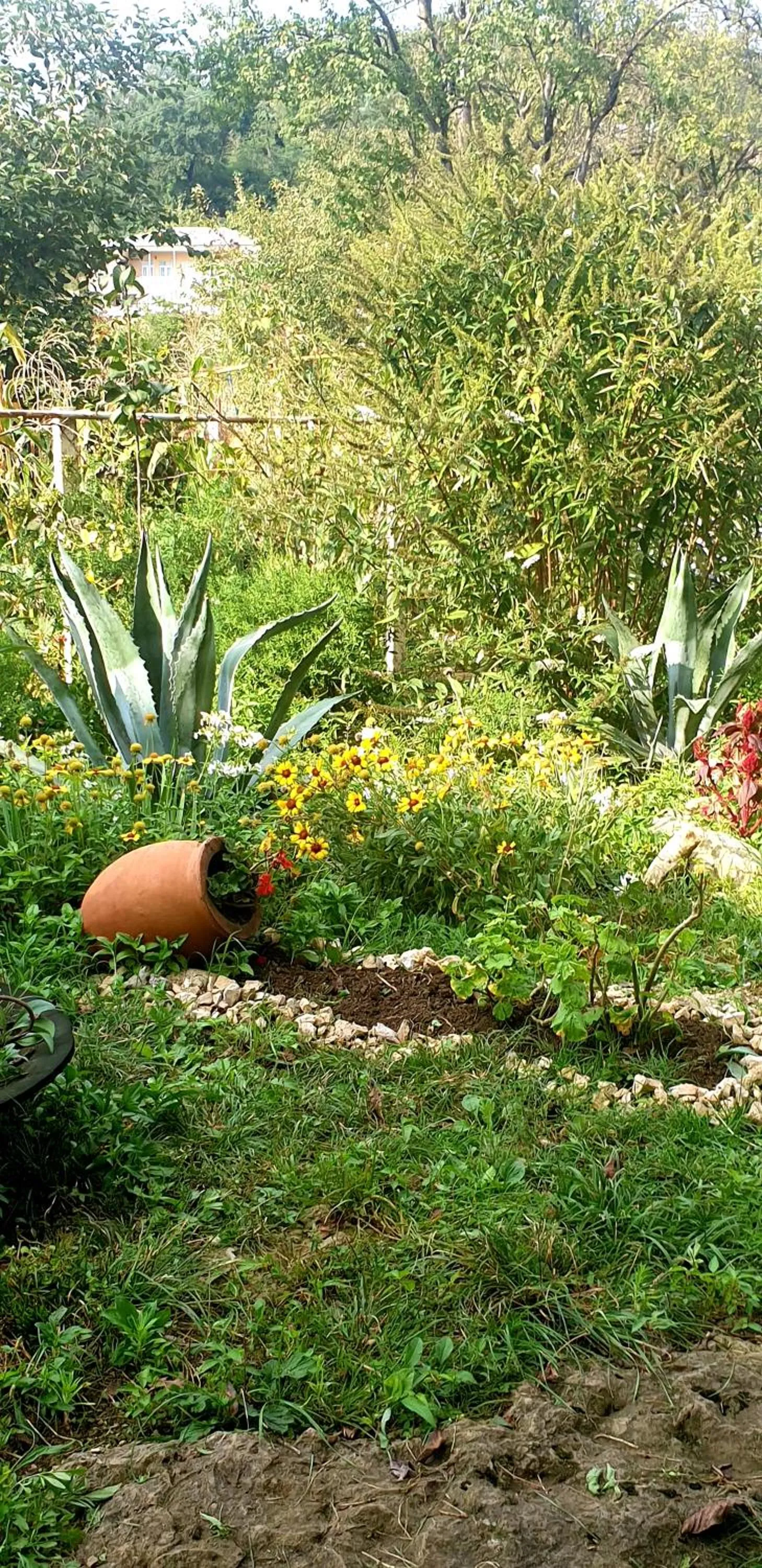 Natural landscape in Four Seasons in Kutaisi