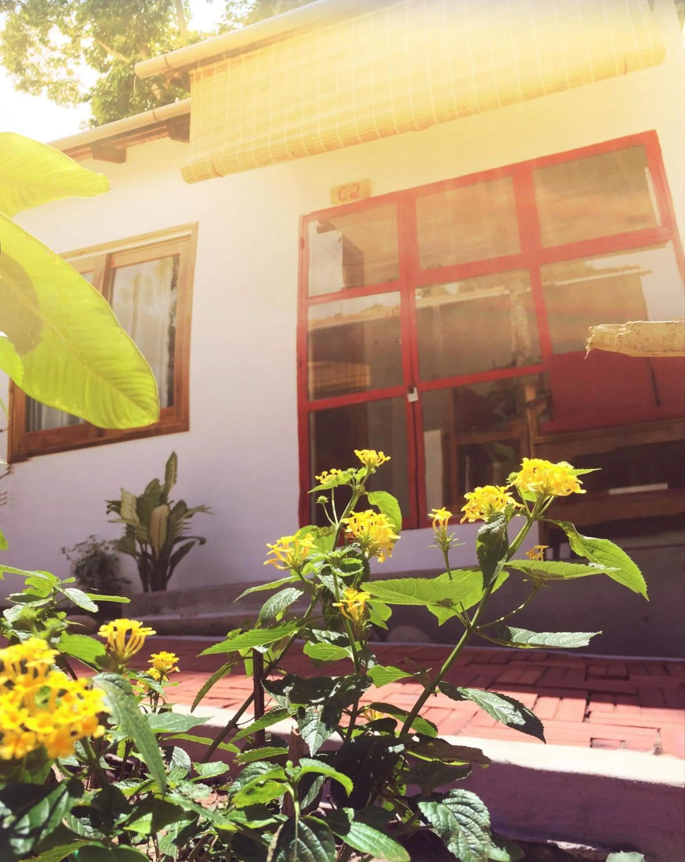 Garden in LANGCHIA HOME