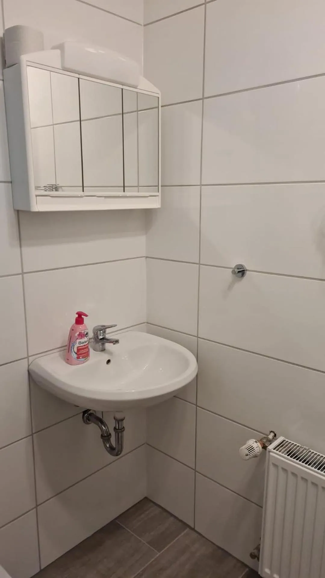 Bathroom in Flensburg City - 24h