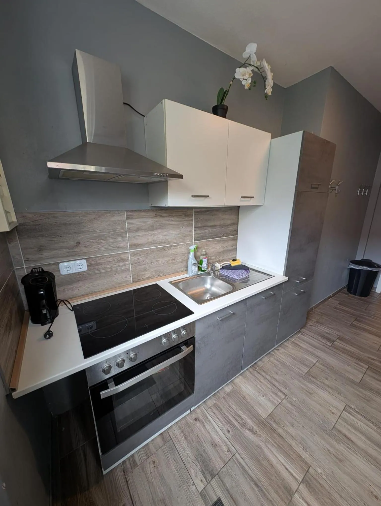Kitchen or kitchenette in Flensburg City - 24h